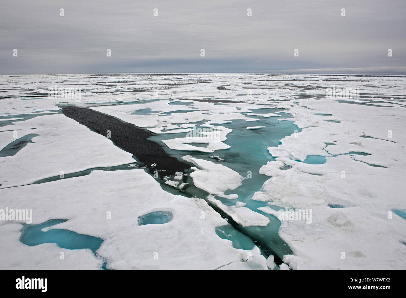 Vista aérea de hielo frente a la costa de la isla de Wrangel, del Lejano Oriente de Rusia, julio de 2012. Foto de stock