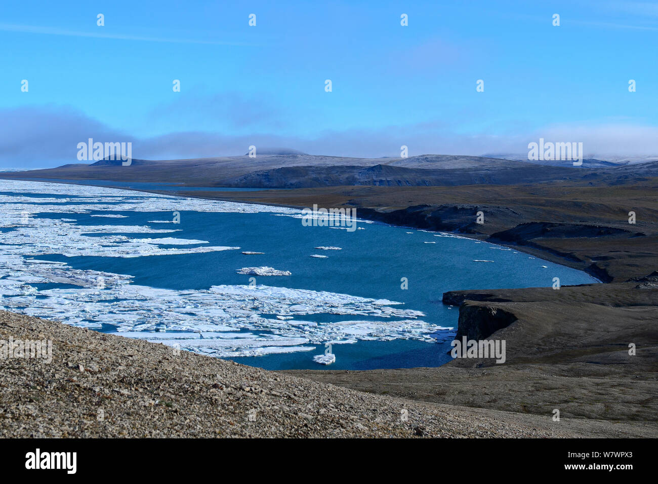- Pack ice y la costa de la isla de Wrangel, el extremo oriente ruso, en agosto de 2012. Foto de stock