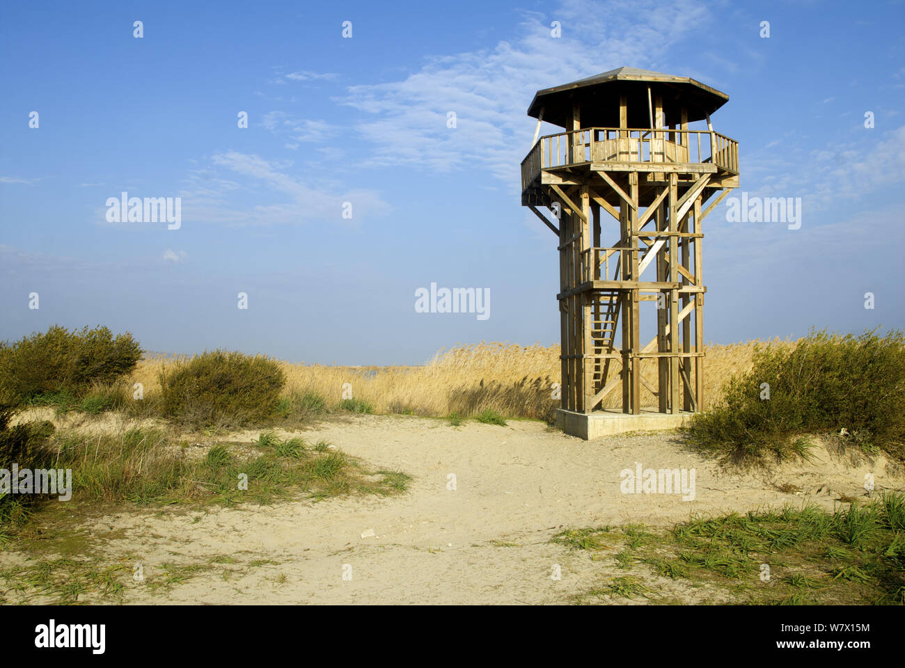 Torre de pájaros en el Delta de Goksu, Mersin, Turquía. De enero de 2008. Foto de stock