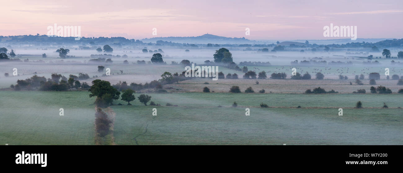 A través de la neblina de baja altitud, con niveles de Somerset Glastonbury Tor en antecedentes, Somerset, Reino Unido, Agosto, compuesta digital. Foto de stock