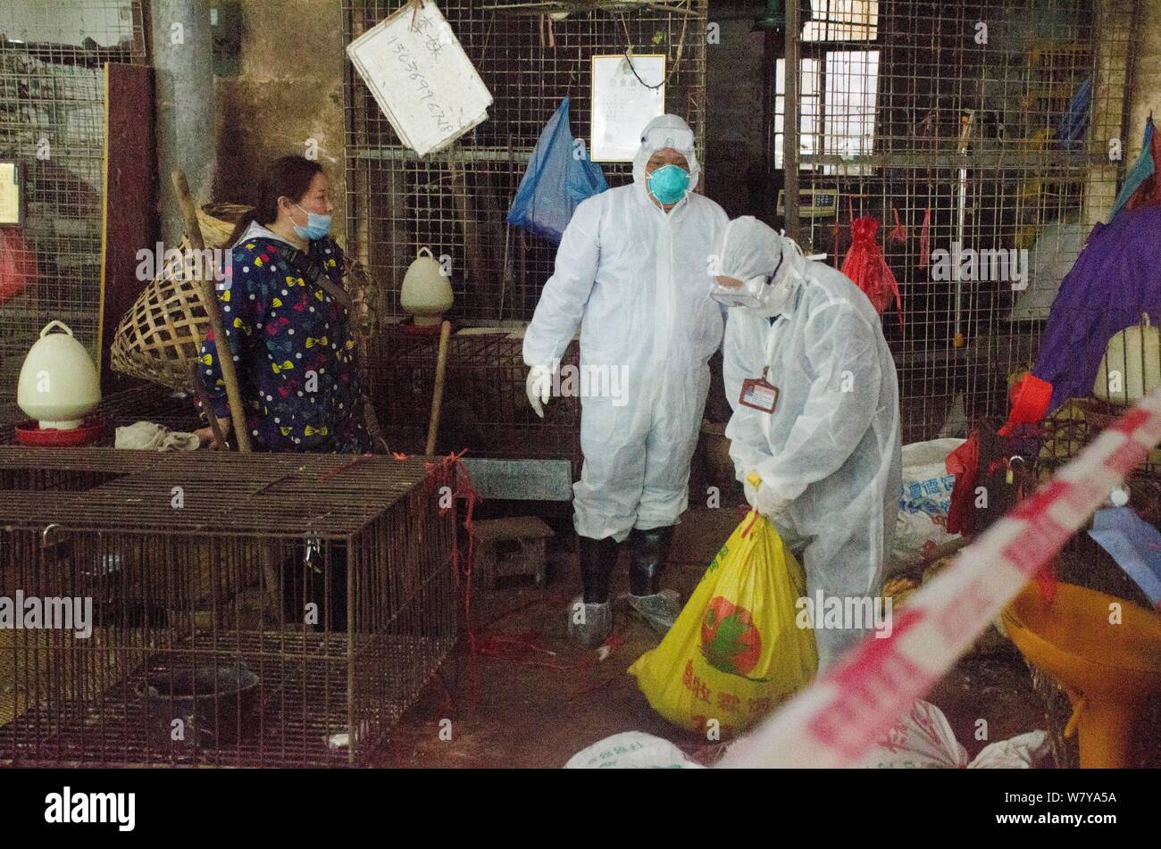 Los funcionarios chinos portando máscaras y trajes protectores de despejar  las aves de corral vivas en un área acordonado en un mercado libre de la  ciudad de Beihai, al sur Ch Fotografía
