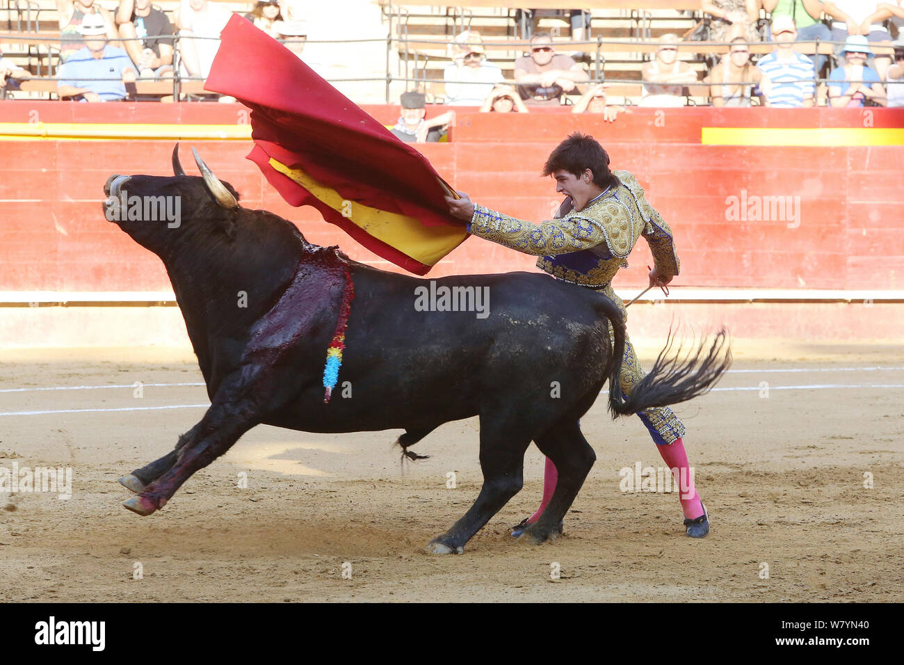 https://c8.alamy.com/compes/w7yn40/las-corridas-de-toros-toro-con-barbas-banderillas-embedded-hombro-de-tercio-de-banderillas-ronda-de-las-corridas-de-toros-la-carga-en-el-torero-plaza-de-toros-de-valencia-espana-de-julio-de-2014-w7yn40.jpg