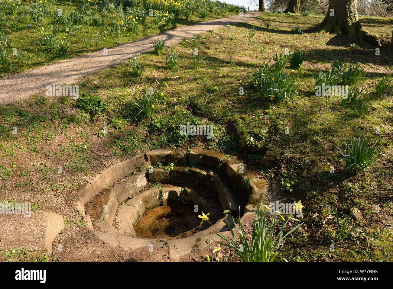 Octogonal romano cisterna llena de agua de manantial, el National Trust, Jardín Azud Kenchester, Herefordshire, Inglaterra. De marzo de 2014. Foto de stock