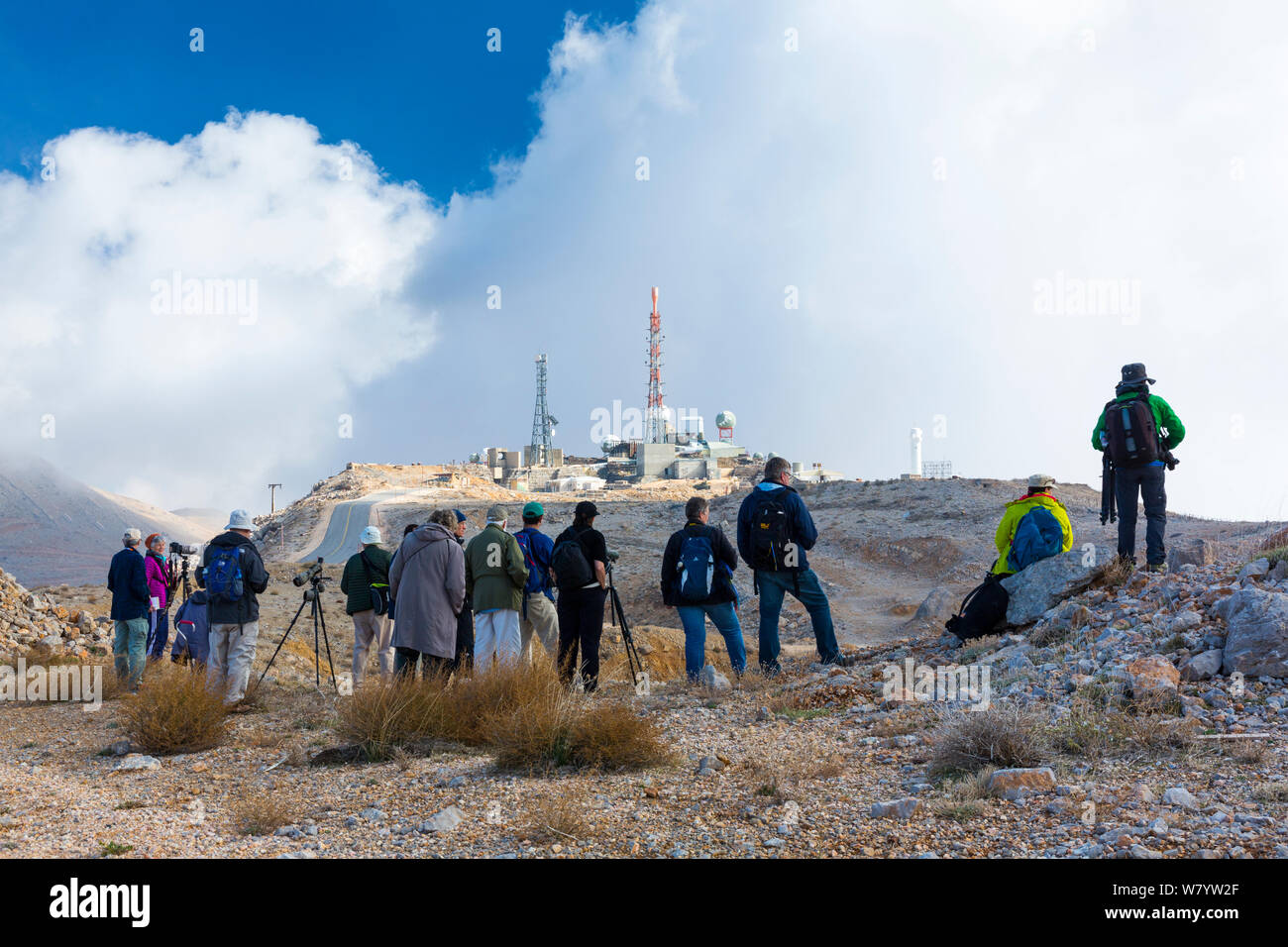 El grupo de observación de aves, el Monte Hermon, Israel, noviembre de 2014. Foto de stock