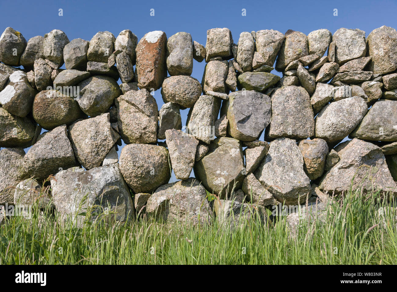 Muro de rocas de granito, Isle Of Mull, Hébridas, Escocia, Reino Unido, junio. Foto de stock
