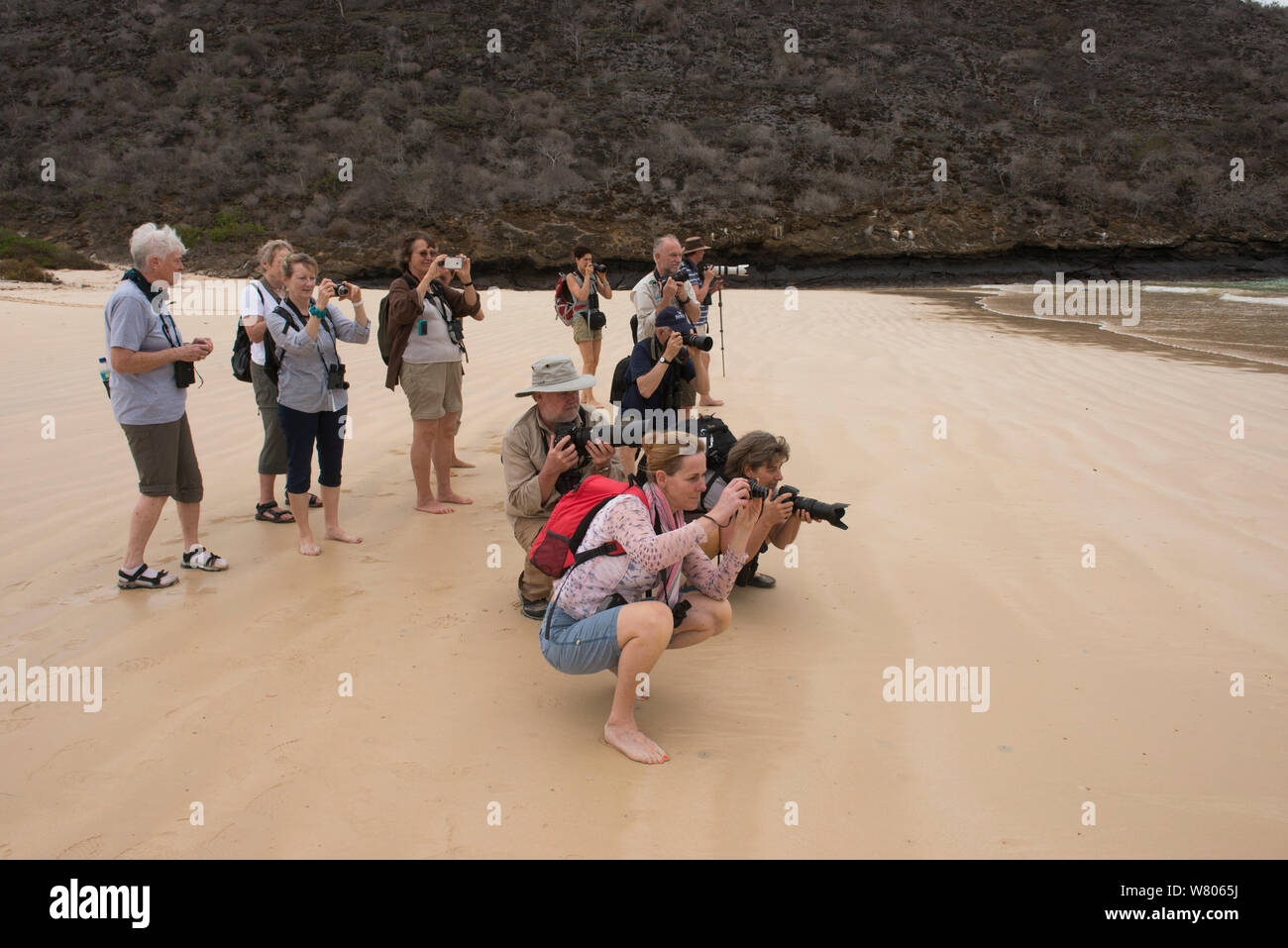 Los turistas tomando fotografías en la playa, la Isla Floreana. Galápagos, diciembre de 2014. Foto de stock