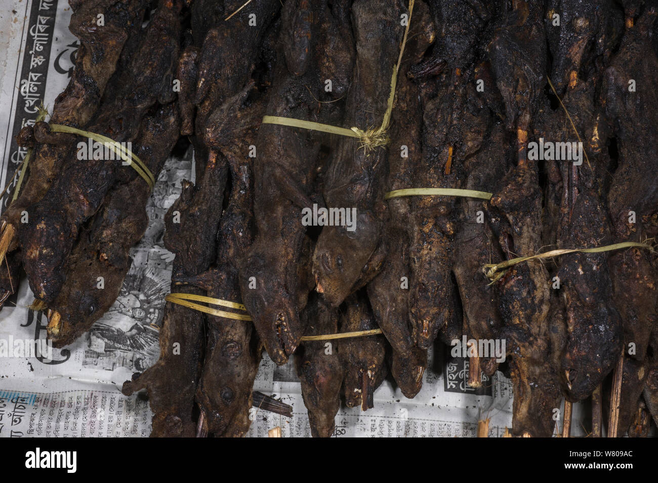 Ratas ahumado en brochetas para su venta en el mercado de los alimentos.Apatani tribu, Ziro Valle, estribaciones del Himalaya, Arunachal Pradesh, en el noreste de la India, en noviembre de 2014. Foto de stock