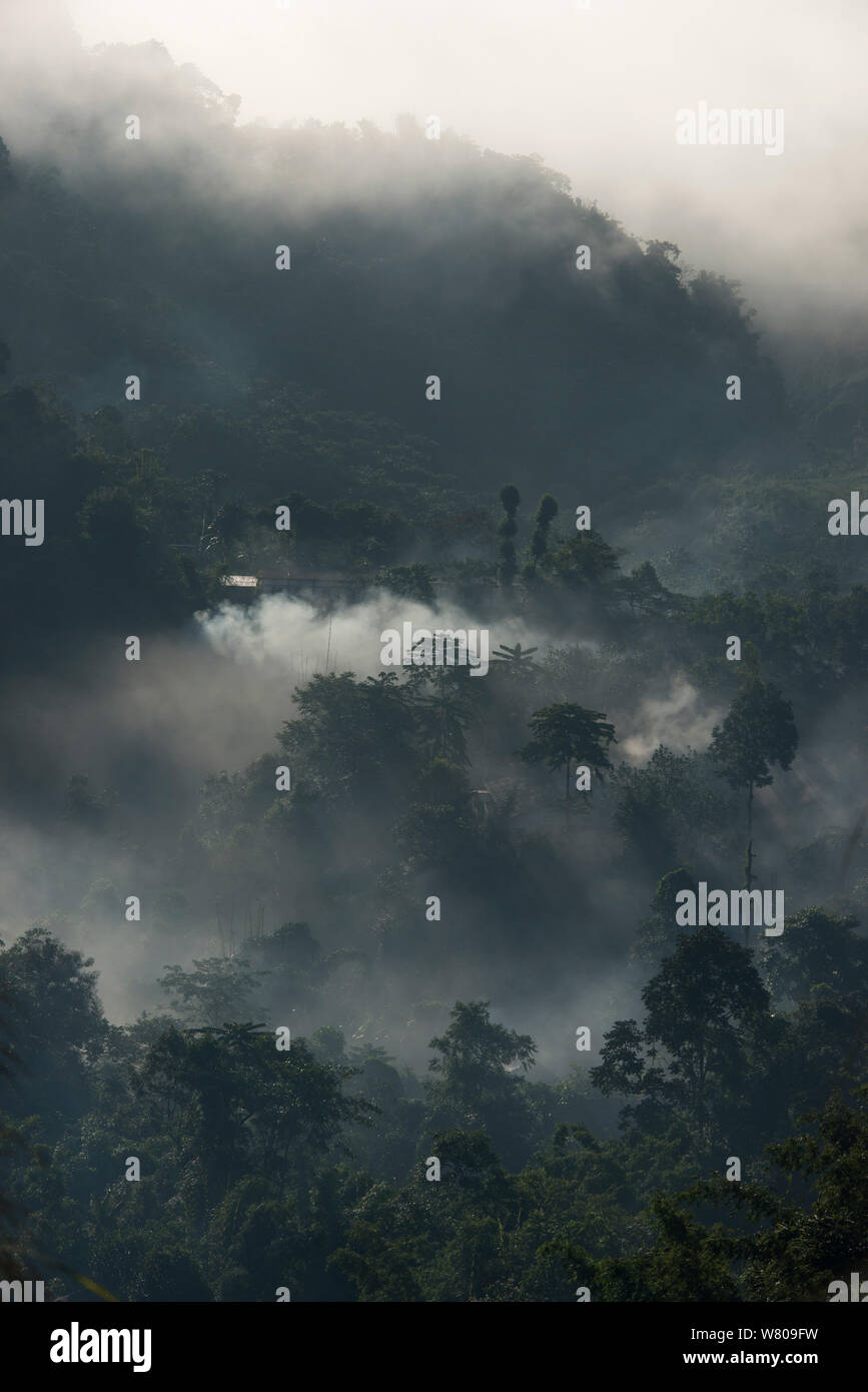 Las nubes bajas sobre los bosques en el Naga Hills, Nagaland, en el noreste de la India, de octubre de 2014. Foto de stock