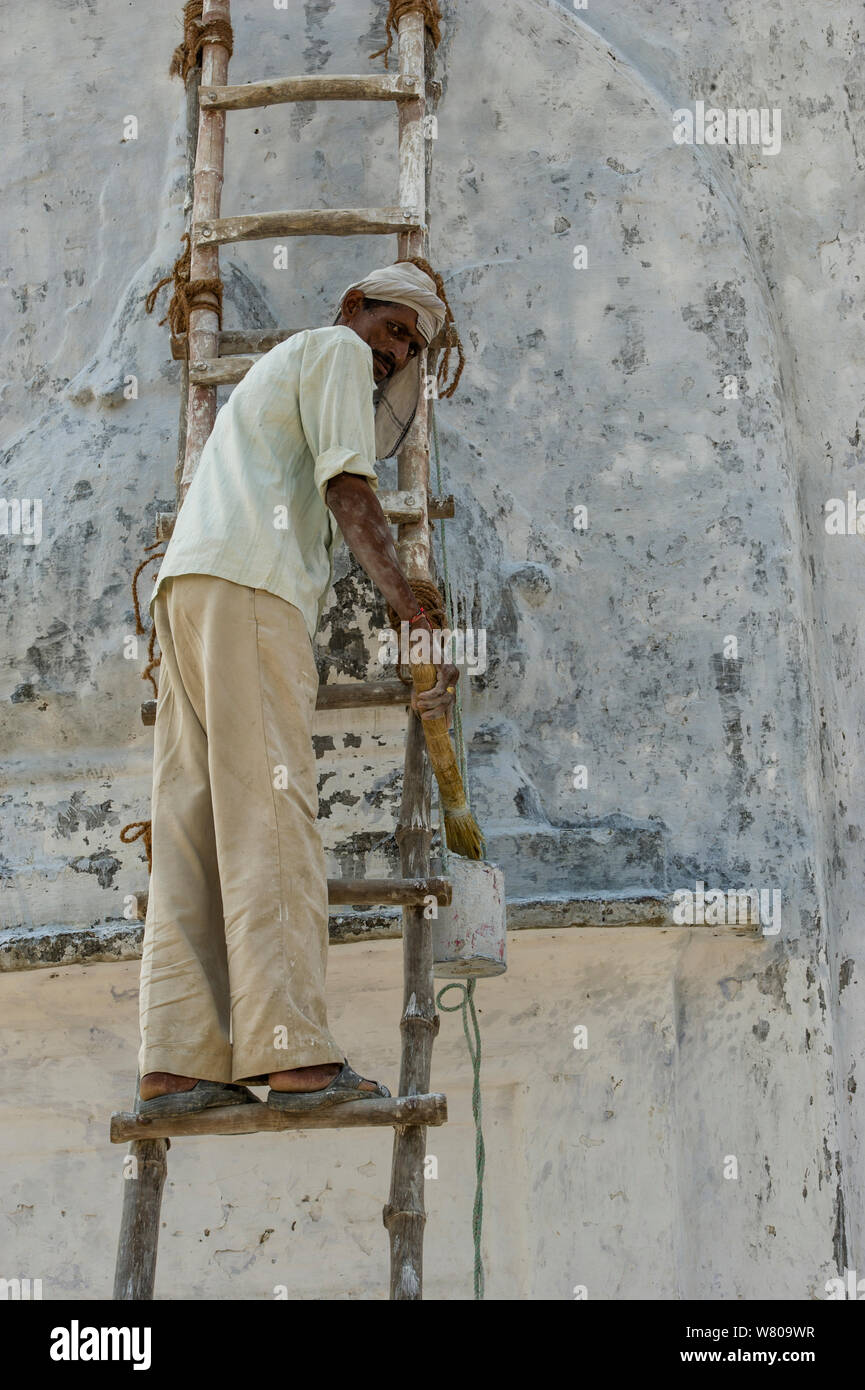 Hombre indio la pintura de las paredes del templo Bateshwar. Bateshwar Village, Uttar Pradesh, India Foto de stock
