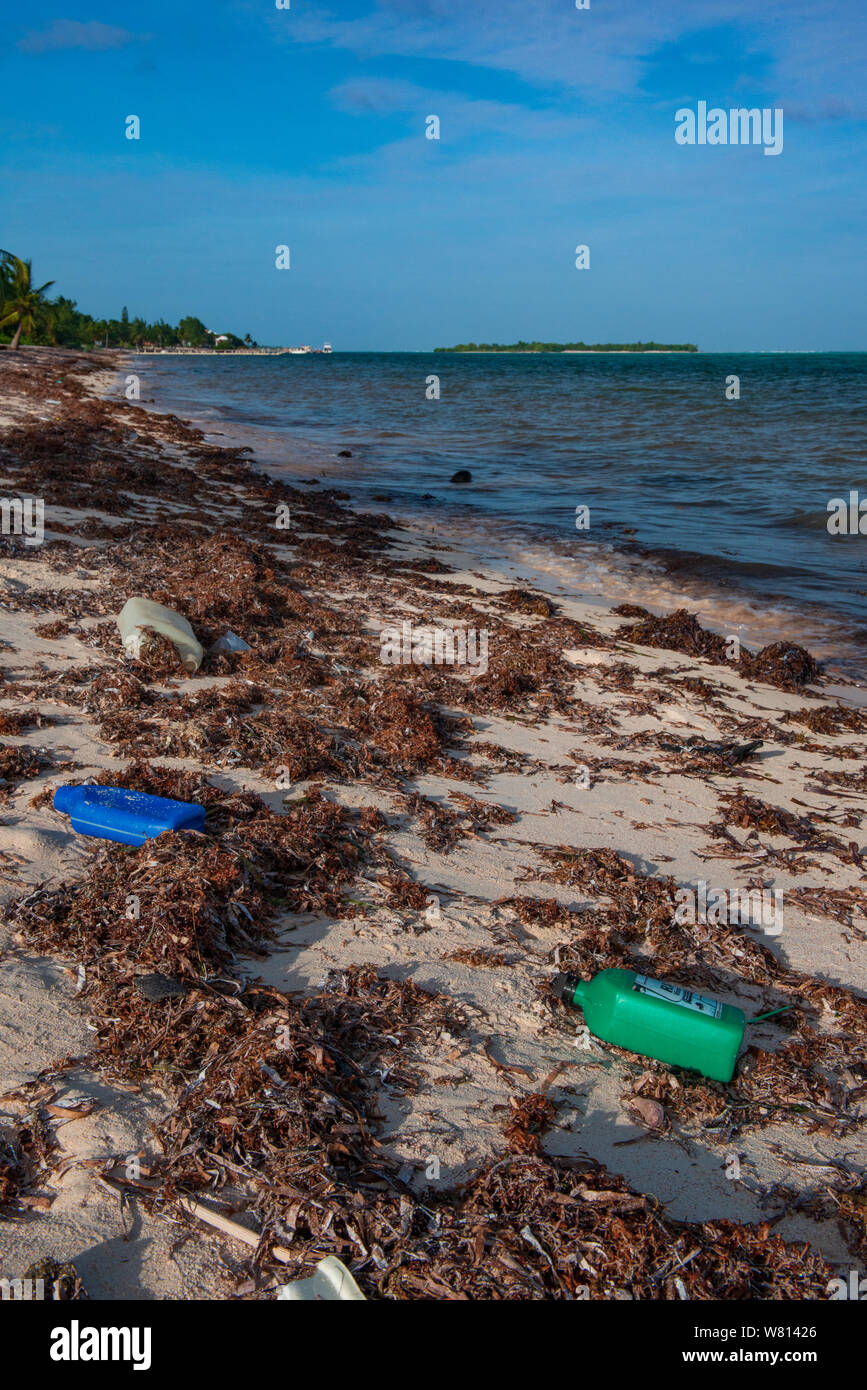 Contaminación plástica lavada en una playa caribeña Foto de stock