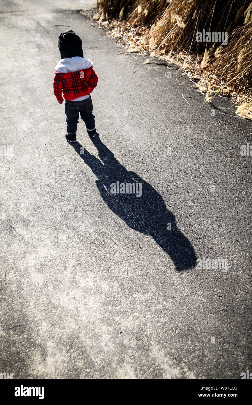 Vista trasera del joven con larga sombra caminando por ruta, Foto de stock