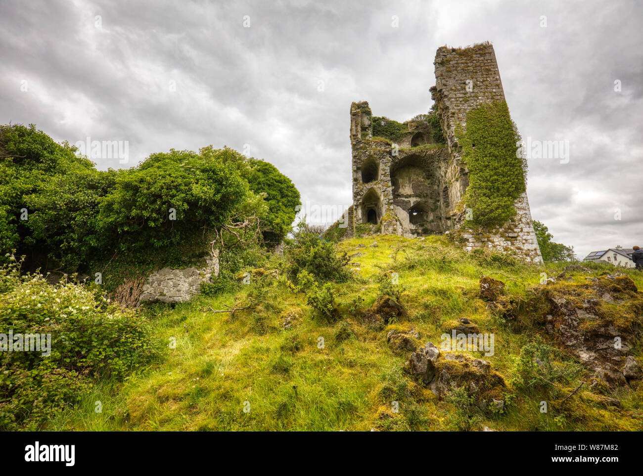 Ruinas del castillo de Burke, la orilla norte del Lough Carra, en el condado de Mayo en Irlanda Foto de stock