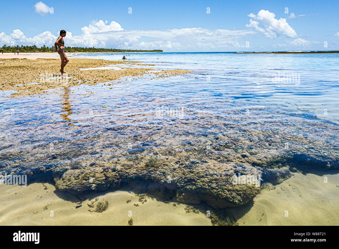 Los arrecifes de coral en la playa de Taipu de Fora, en la Península de Marau. Marau, Bahia, Brasil. Foto de stock