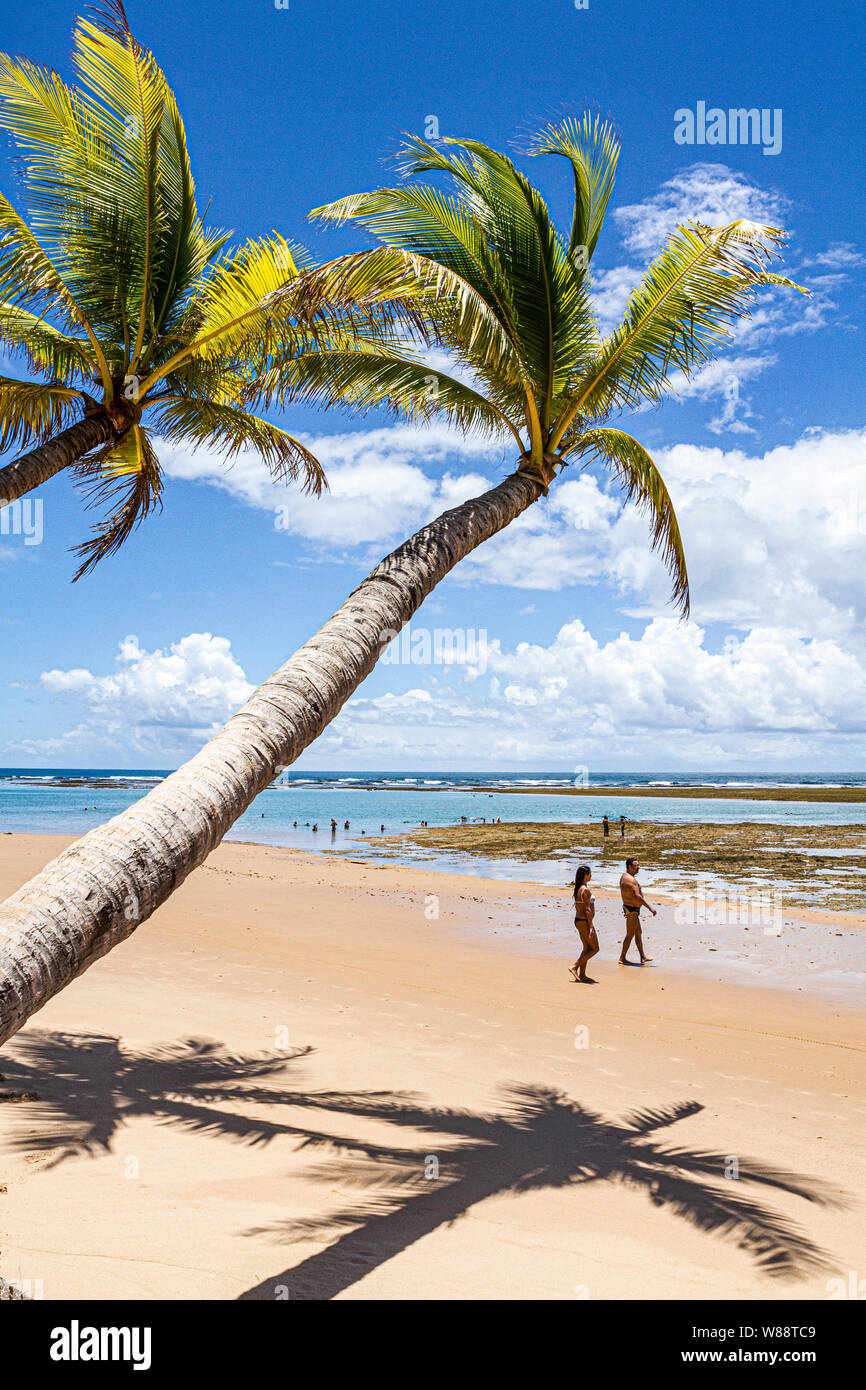 La playa de Taipu de Fora, en la Península de Marau. Marau, Bahia, Brasil. Foto de stock