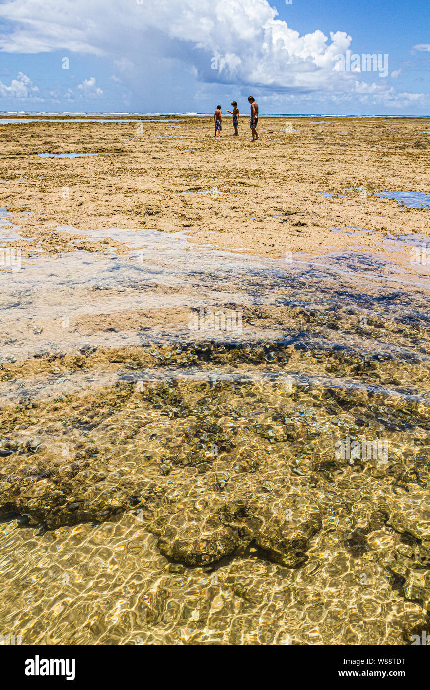 Los arrecifes de coral en la playa de Taipu de Fora, en la Península de Marau. Marau, Bahia, Brasil. Foto de stock