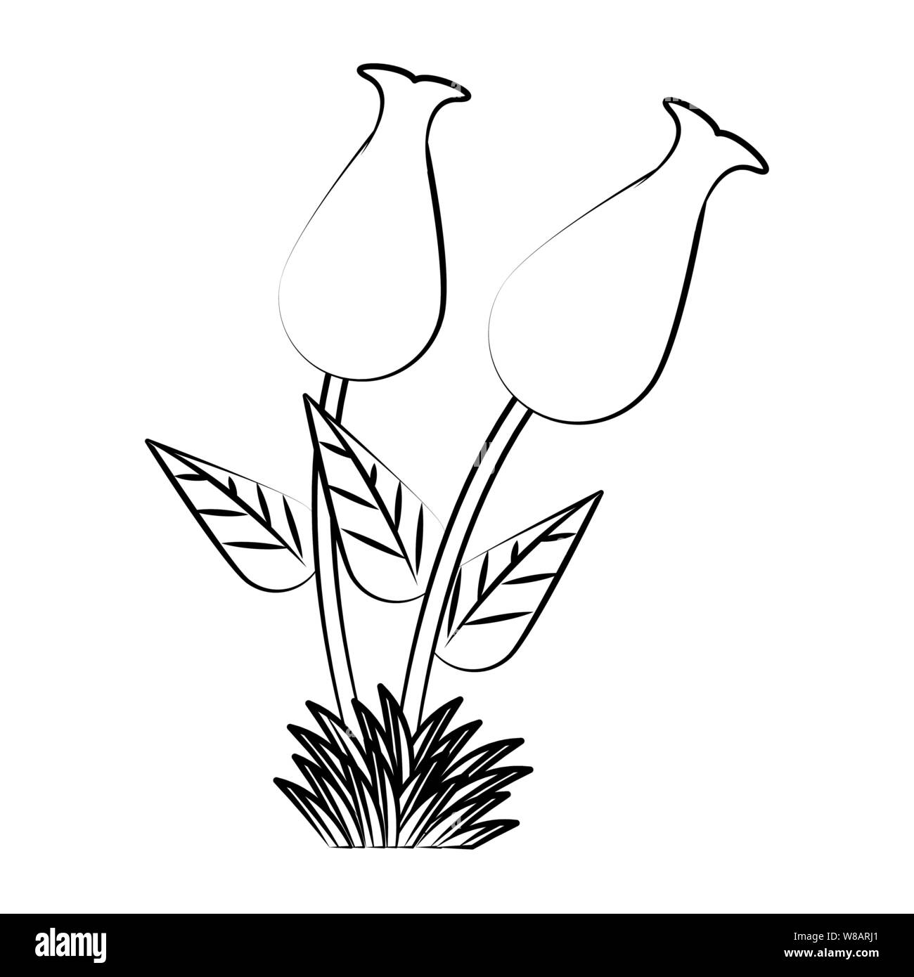 Flores de primavera tropical caricatura dibujo floral en blanco y negro  Imagen Vector de stock - Alamy