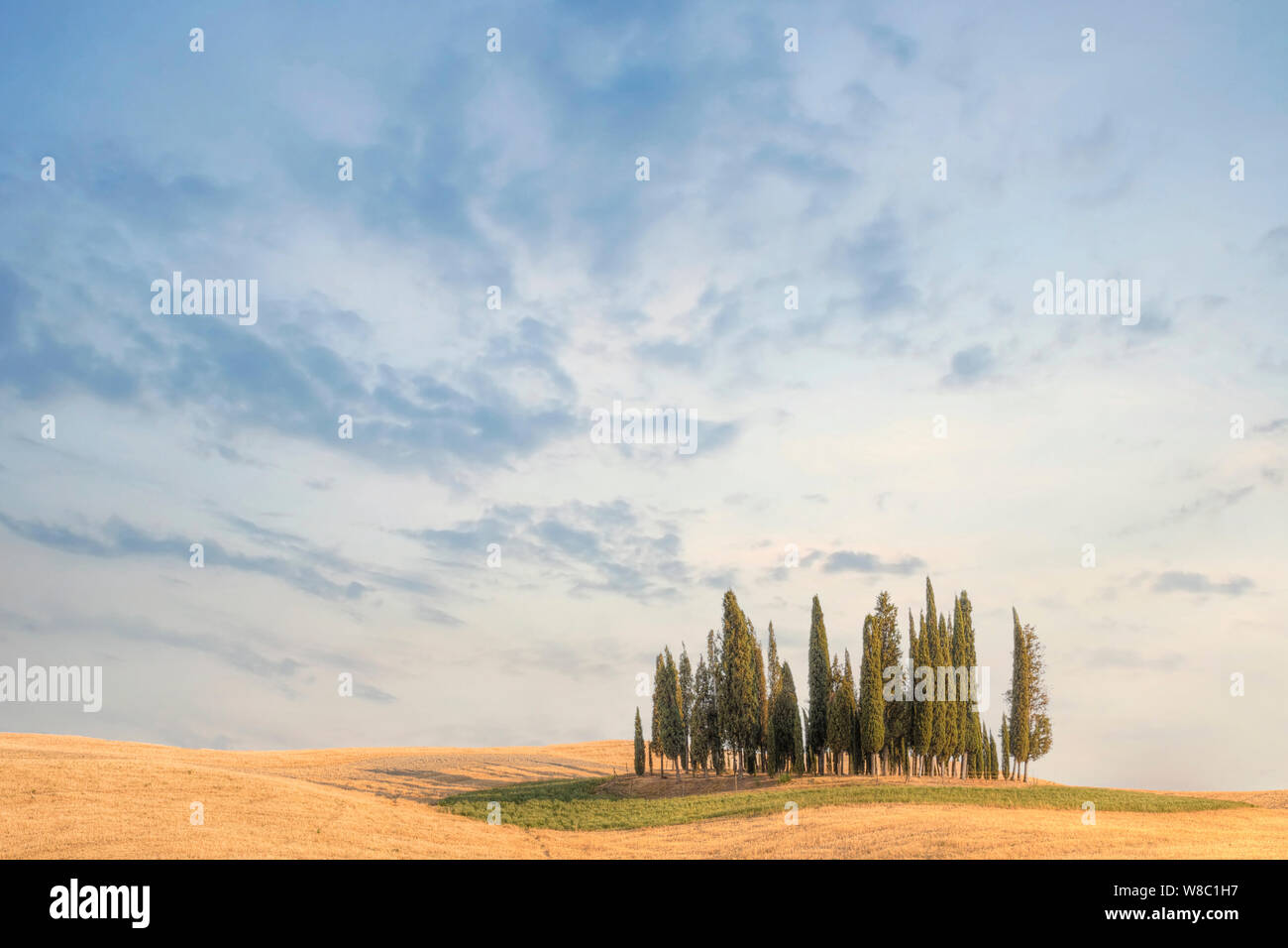 San Quirico, Toscana, Italia, Europa Foto de stock