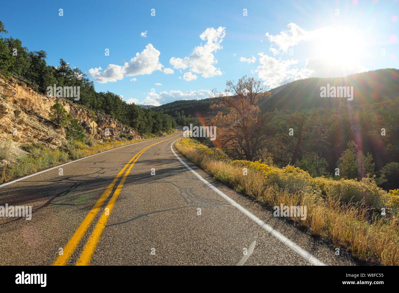 Grand Canyon Highway en el Bosque Nacional Kaibab, Arizona, EE.UU. Foto de stock