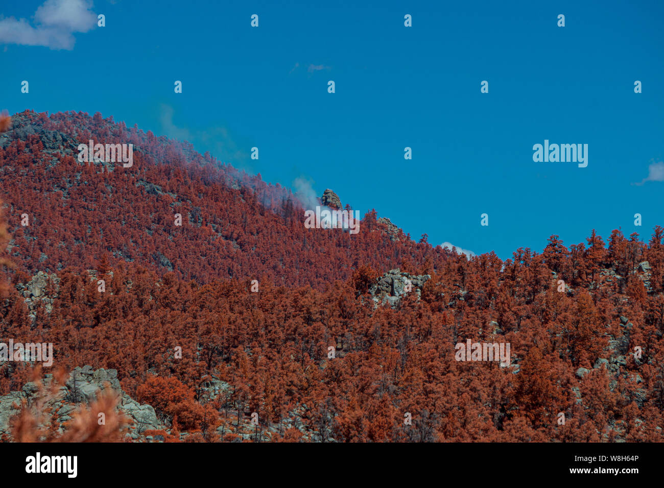 Árboles de color marrón rojizo que cubre el pico de la montaña con el humo blanco se alza. Blue Sky. Foto de stock