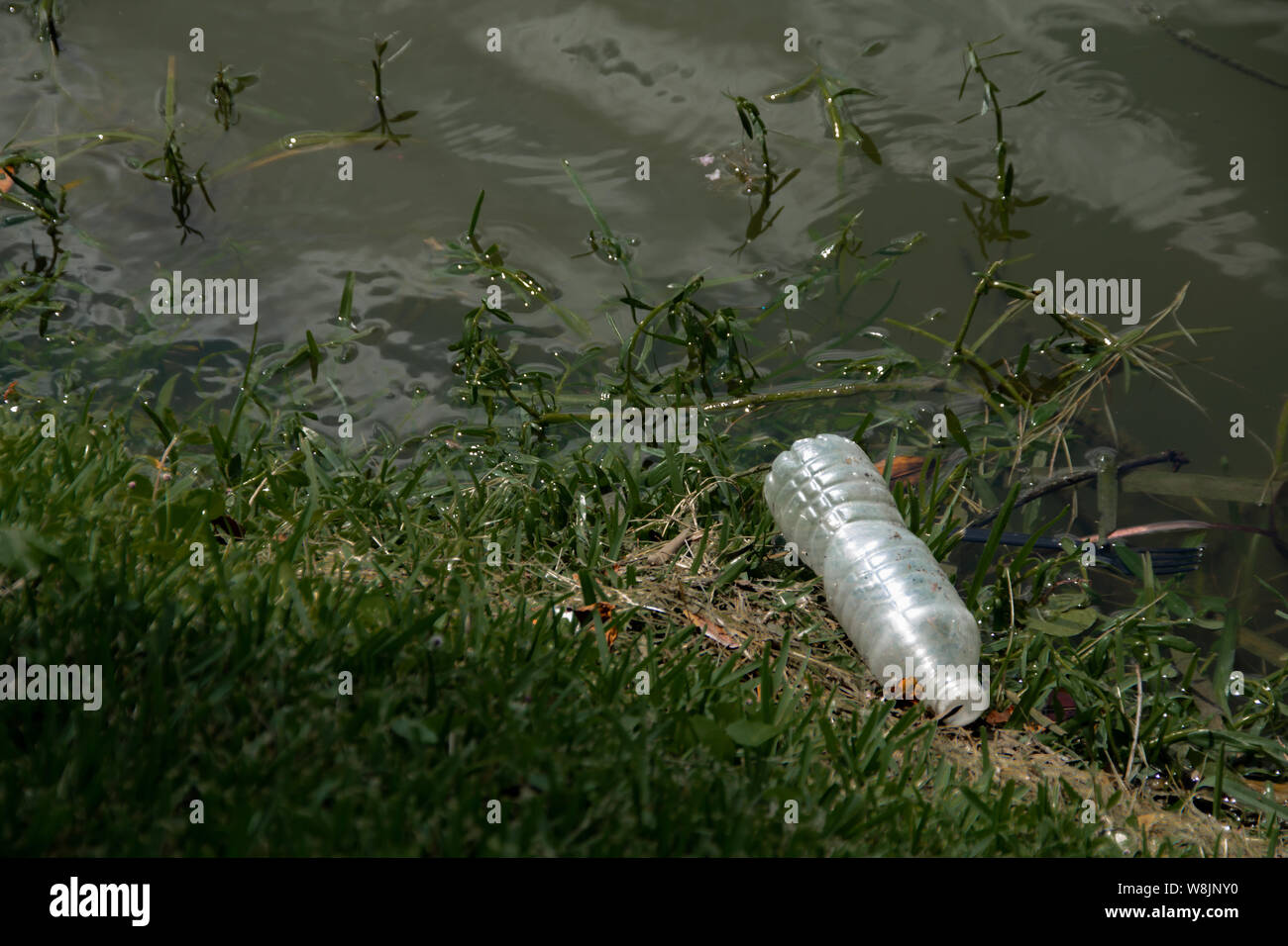 Los residuos plásticos se lavan a la orilla del lago. Una botella de plástico y horquilla de plástico descanso entre la hierba. Foto de stock