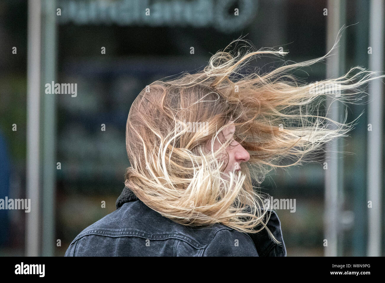 Cabello alborotado cabello tiene un mal día soplada por el viento viento  tormenta día tempestuoso paisaje, pelo alborotado, mujer, hembra, viento,  retrato, el pelo largo, cara al aire libre, adulto, el estilo,