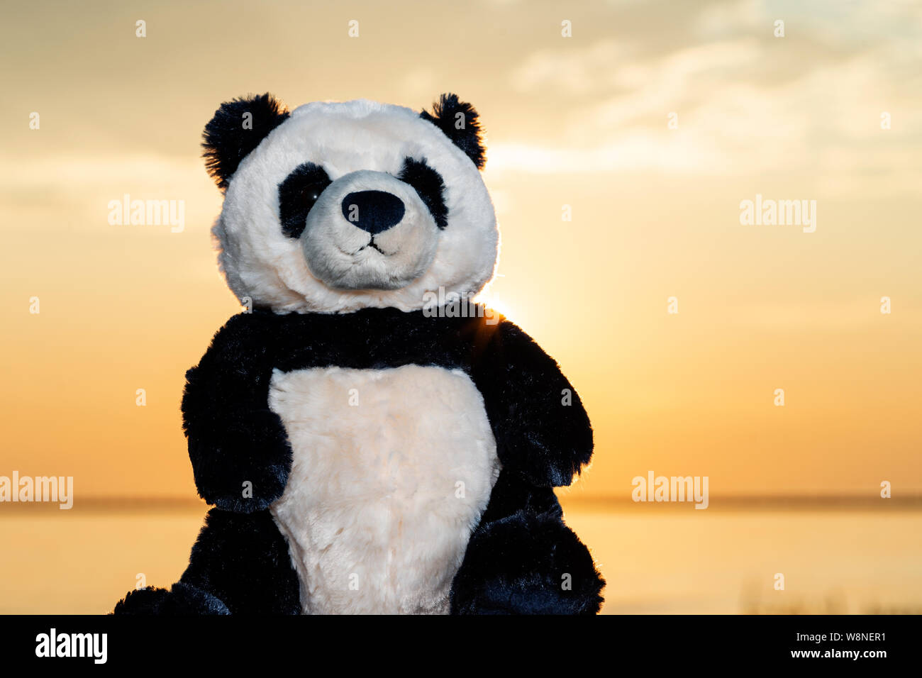 Oso Panda de peluche juguetes de felpa en el amanecer frente al lago. El  amor, el romance y el concepto de la amistad Fotografía de stock - Alamy