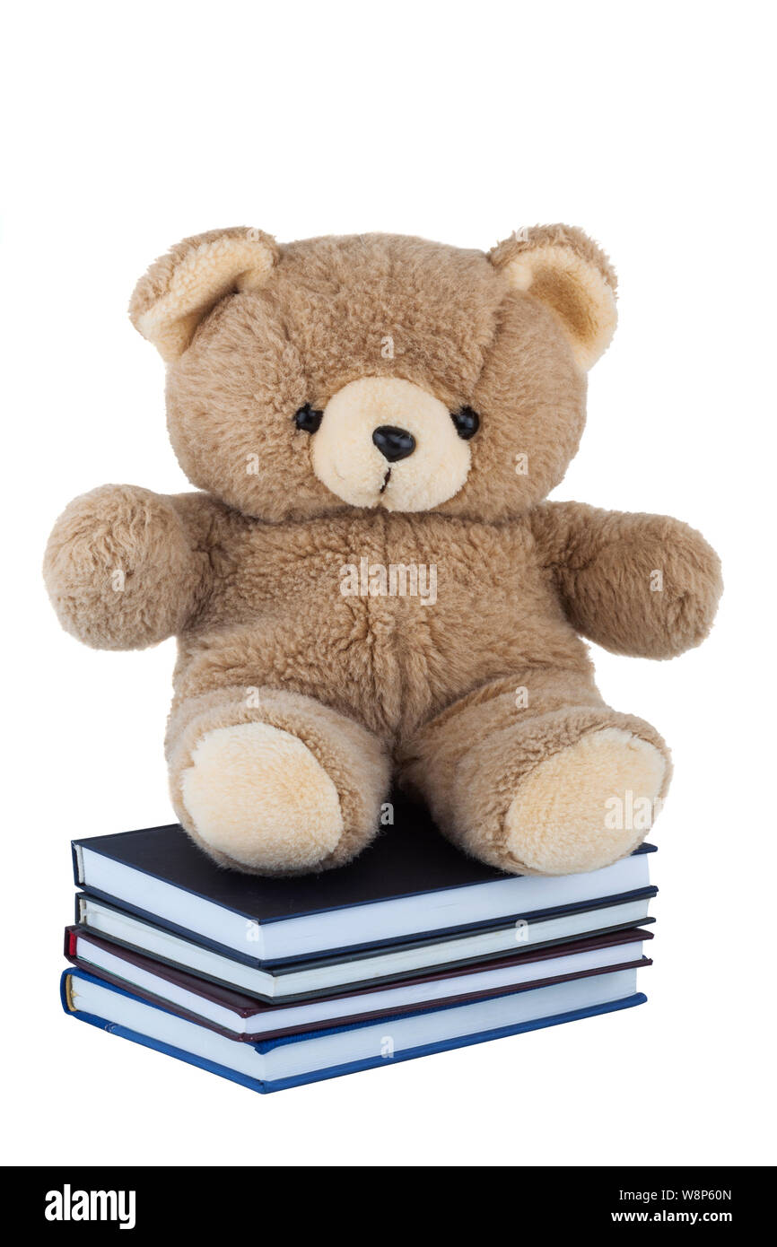 Oso de peluche sentado en libros aislado sobre fondo blanco. Foto de stock