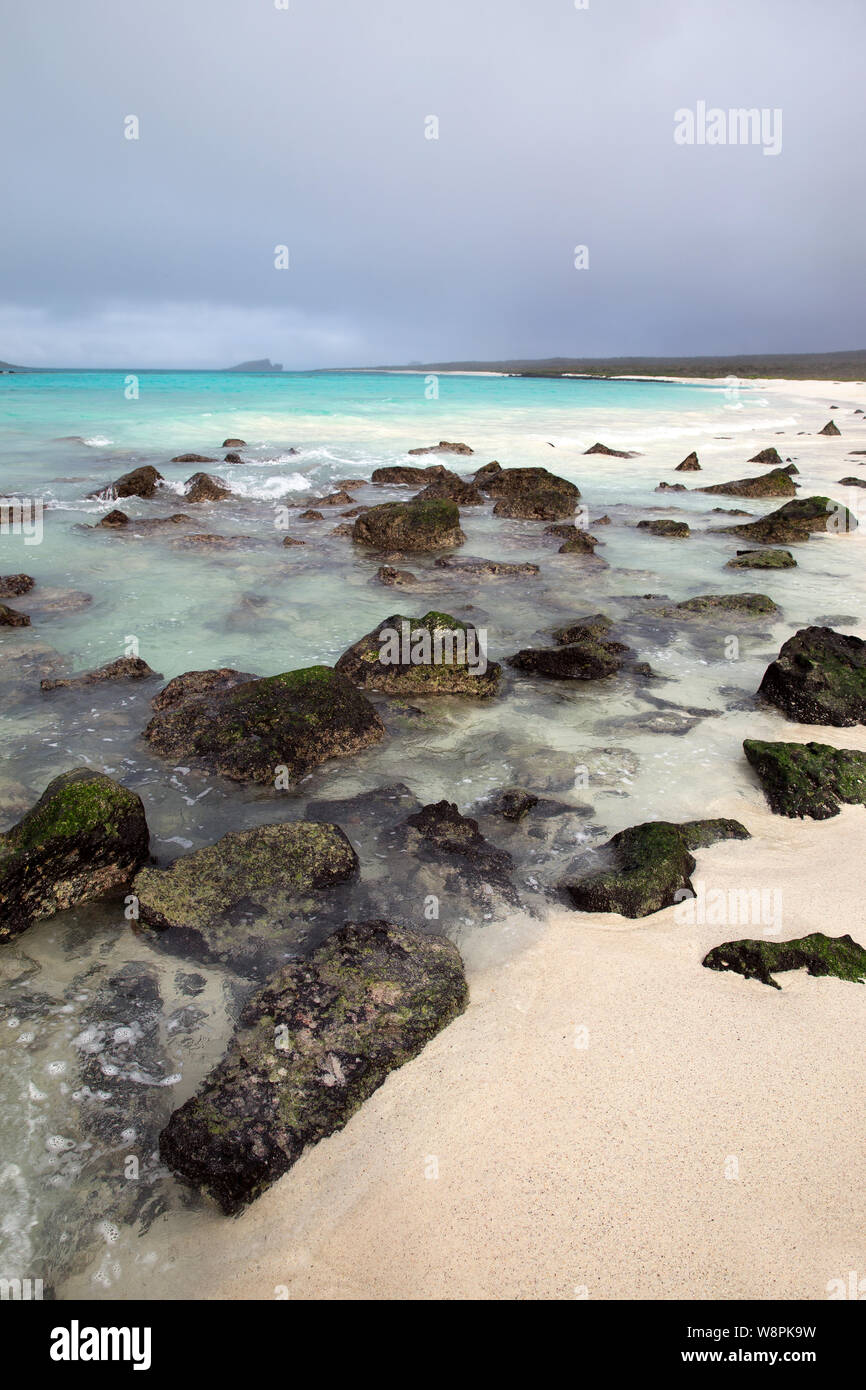 Playa de las Islas Galápagos Foto de stock