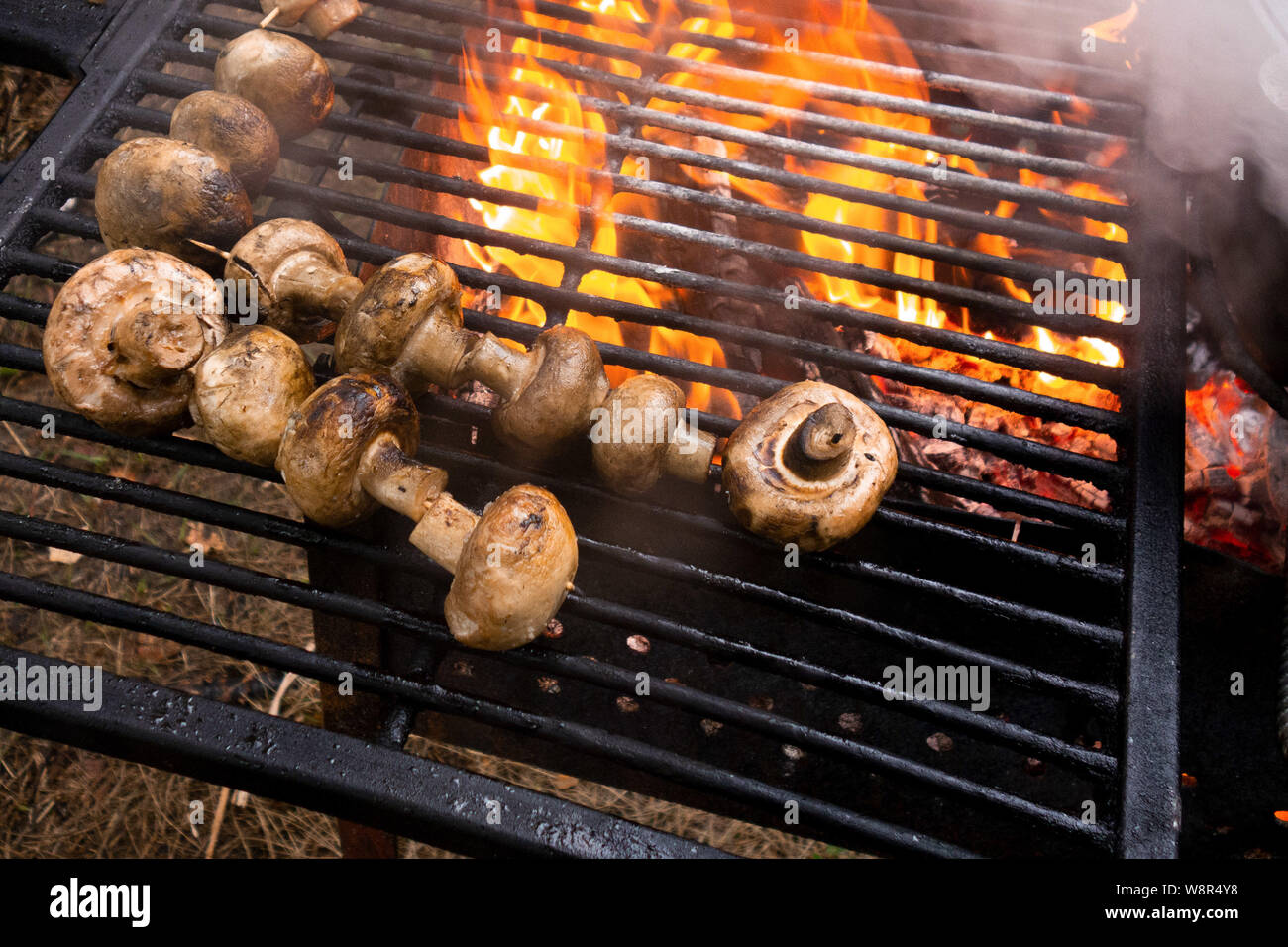 Los hongos de la parrilla. Champignons son fritos o cocidos a fuego  abierto. Cocina barbacoa parte cerrar imagen arriba. Cocinar sobre la  rejilla metálica Fotografía de stock - Alamy