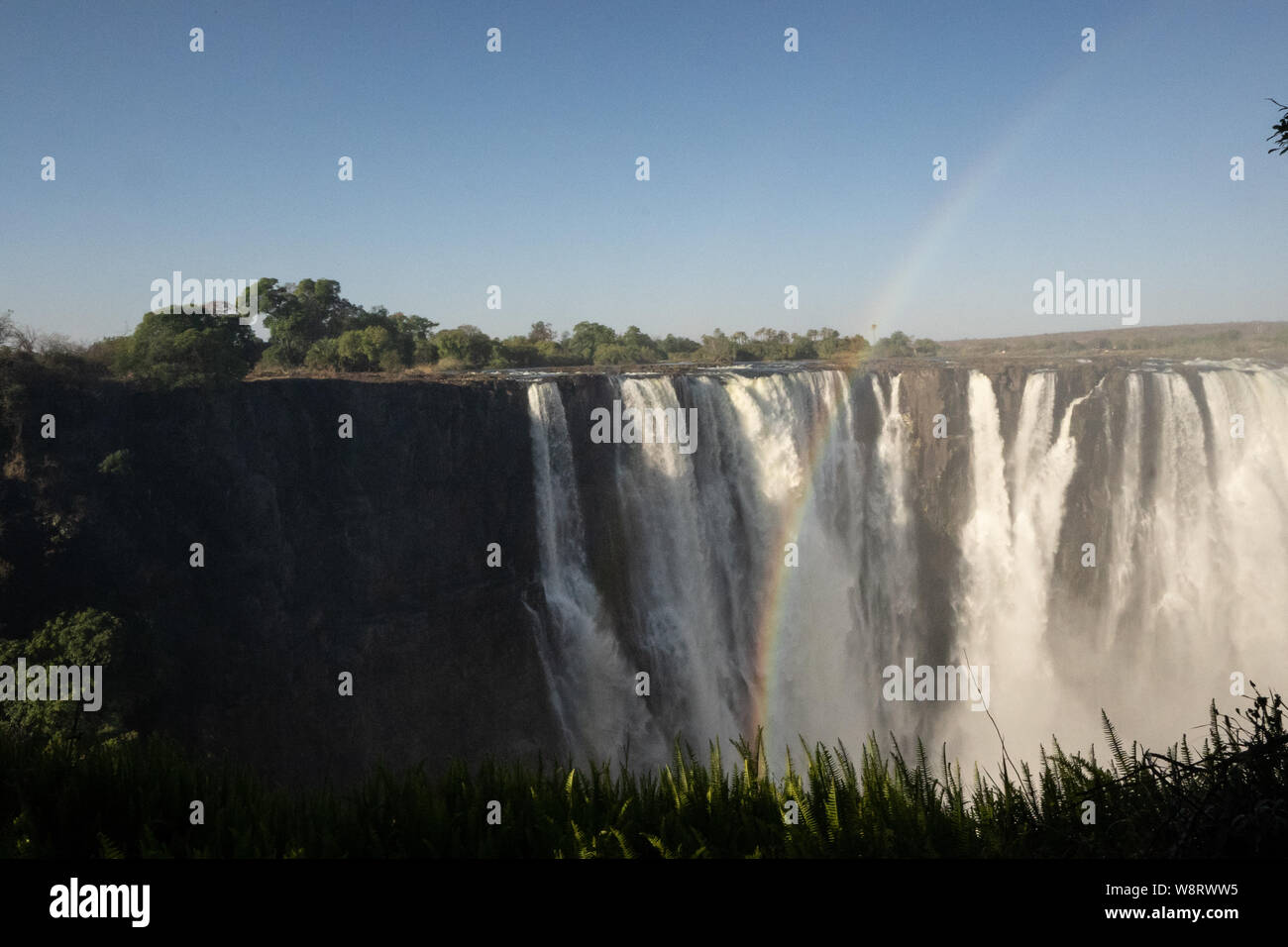 Victoria Falls, nombrado por David Livingstone en 1855 después de la Reina Victoria, la cascada formada por el río Zambezi, caer en una profundidad de 100 metros ch Foto de stock