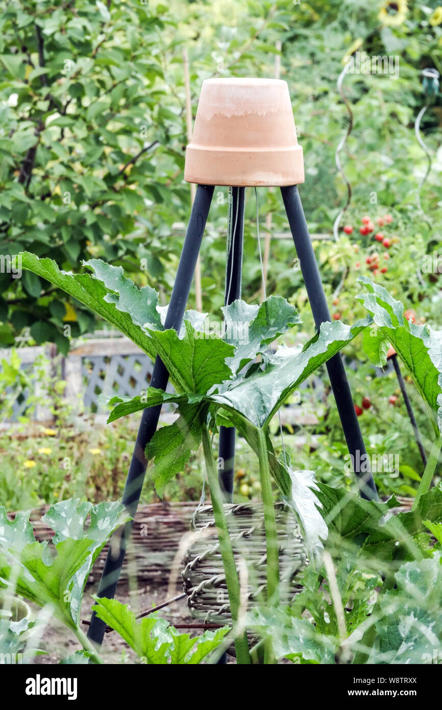 Soporte Plantas Trepadoras