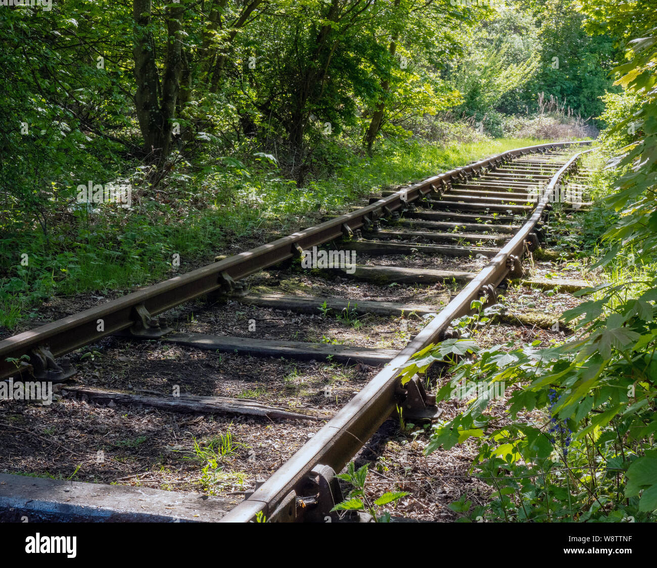 Cubierto de líneas de ferrocarril en desuso en East Lothian, Escocia, Reino Unido. Foto de stock