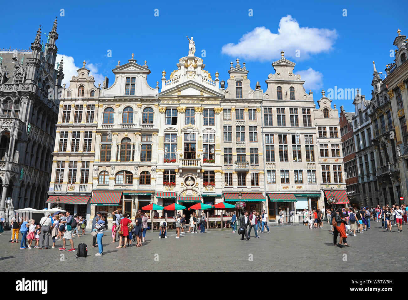 Los edificios de la Grand Place o Grote Markt, Bruselas, Bélgica Foto de stock