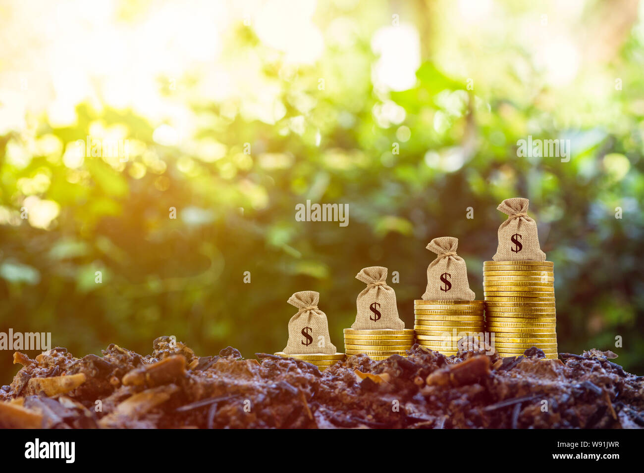 Hacer dinero y dinero en concepto de inversión. Una bolsa de dinero en lugar de la pila de monedas en tierra buena y la naturaleza del fondo con la luz del sol. Representa a largo plazo Foto de stock