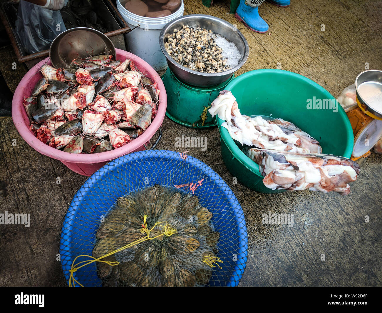 Chonburi, Tailandia - Mar 5, 2017: los animales acuáticos alimentos crudos en el mercado local. Foto de stock