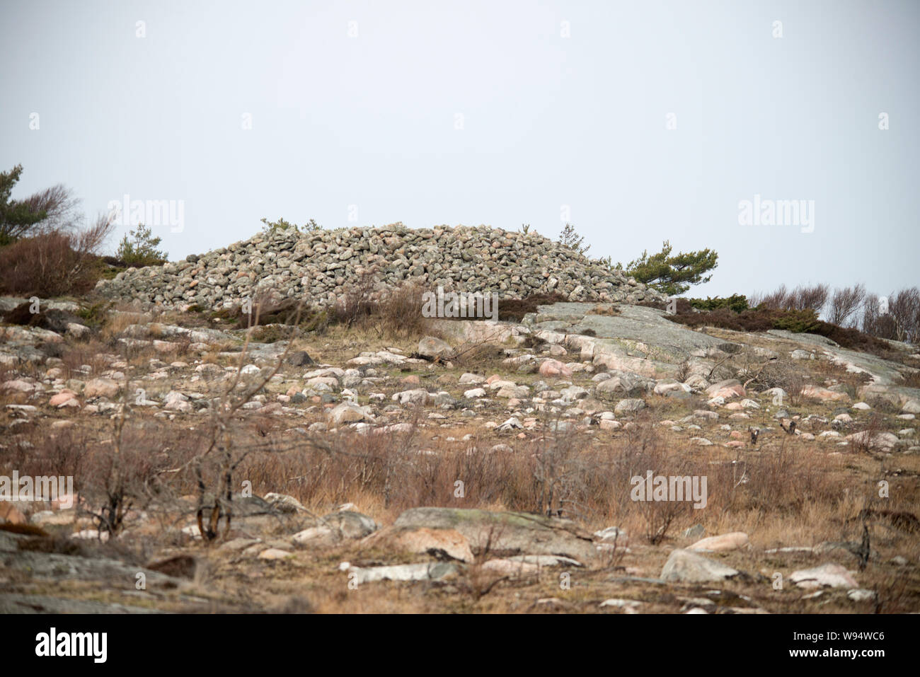 Suecia, el Sueco, el Reino de Suecia, Escandinavia, Europa del Norte, el país, la Unión Europea, los pueblos prehistóricos, historia, agrícola, forestal, CLI Foto de stock