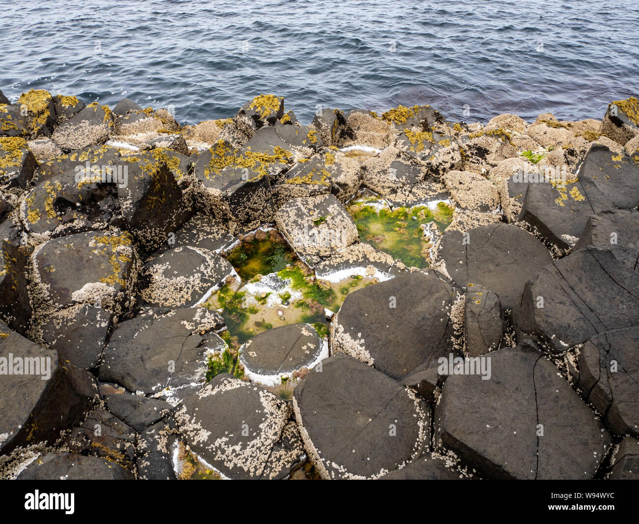 Giant's Causeway, famosa atracción turística de Irlanda del Norte, Reino Unido. Hexagonal única pentagonal y formaciones geológicas de rocas de basalto volcánico. Foto de stock