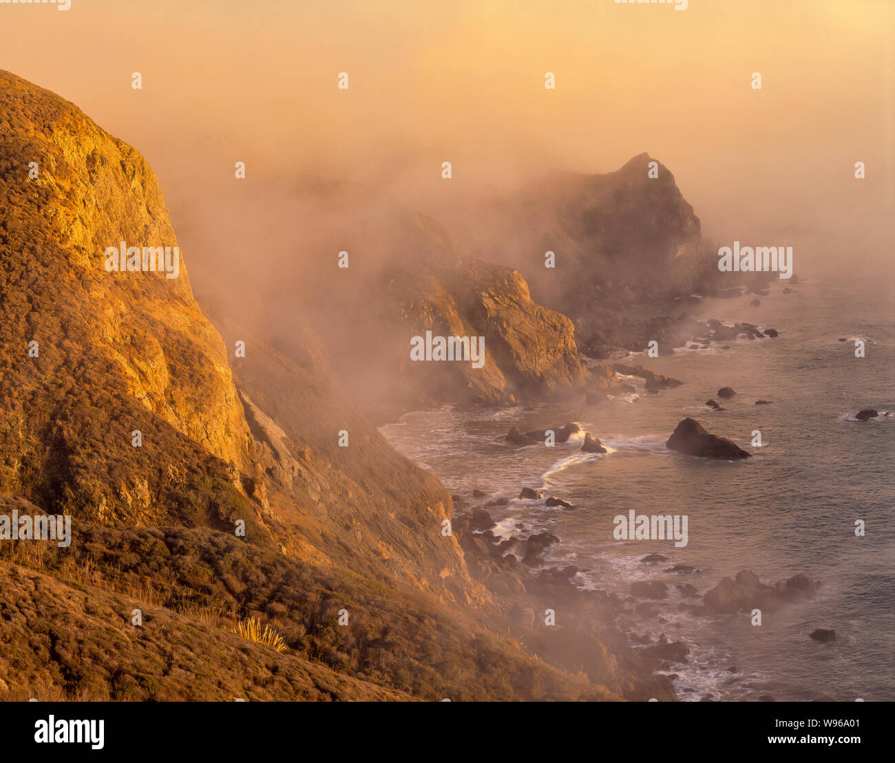 Niebla costera, Cueva de los piratas, nacional Golden Gate Área Rereation, Marin County, California Foto de stock