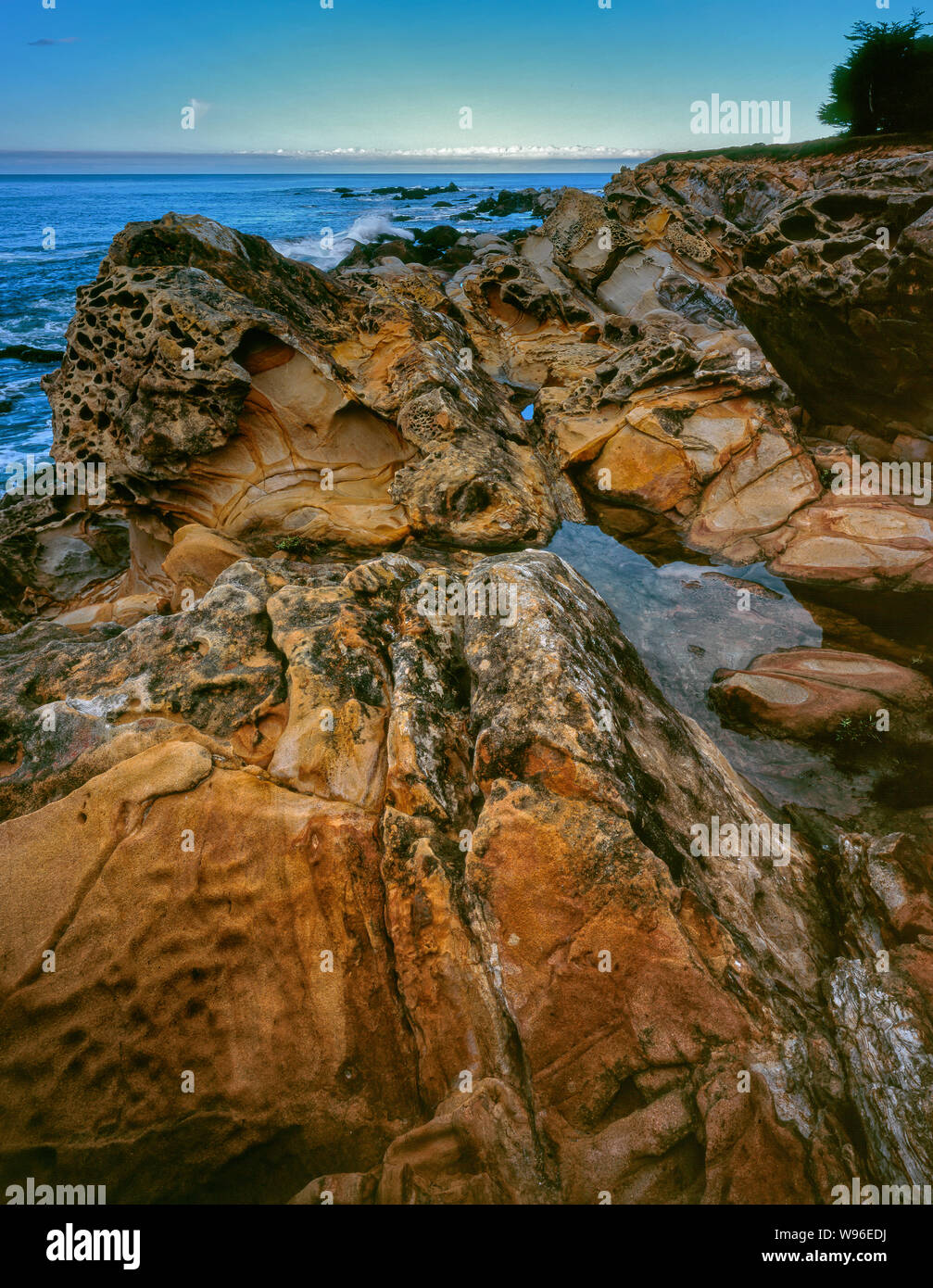La piedra arenisca, el punto Del Mar Reserva Ecológica, Sea Ranch, el Condado de Sonoma, California Foto de stock