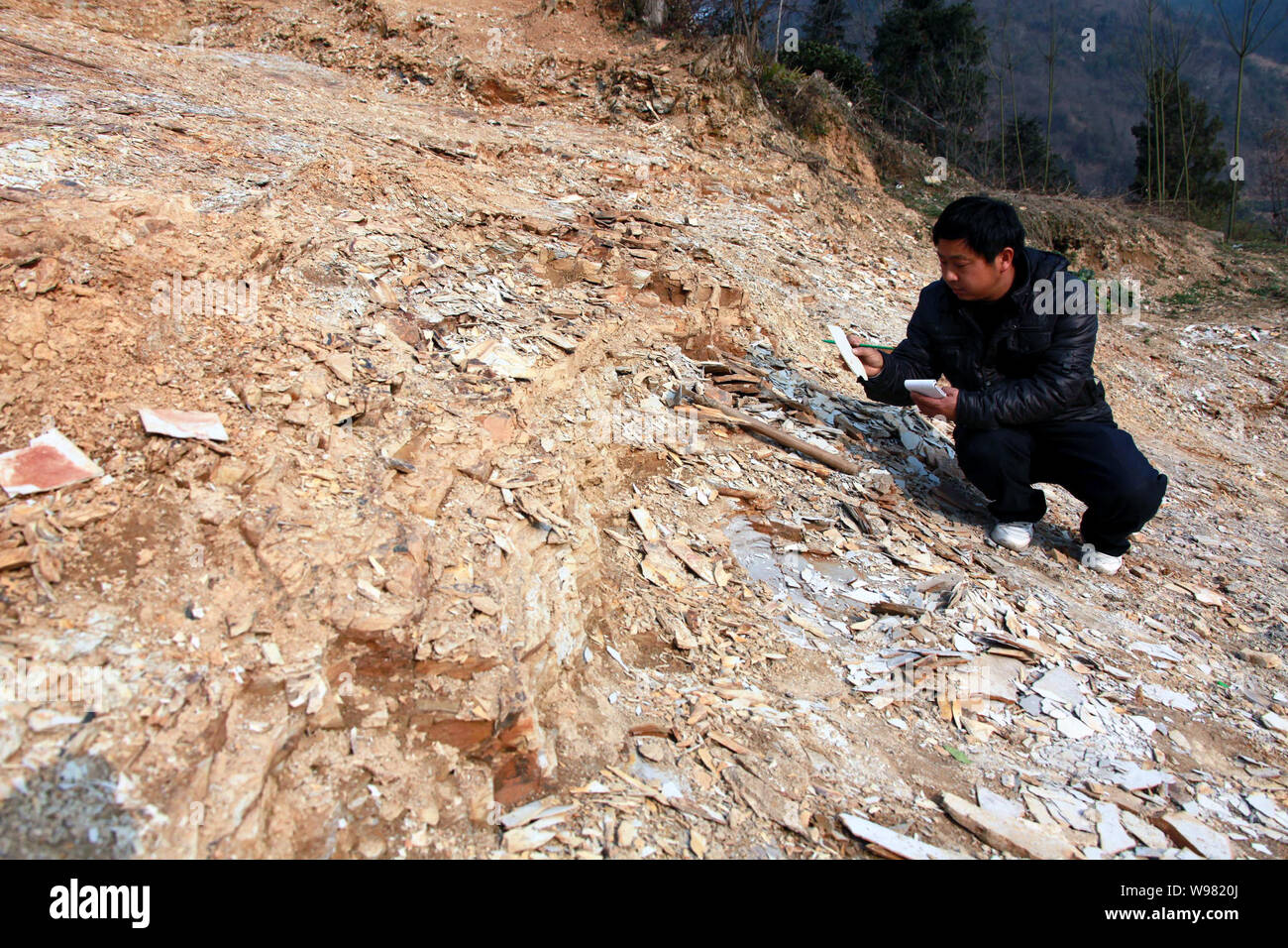 Un paleontólogo chino comprueba una planta fósil en Xiuning condado, Huangshan city, East chinas en la provincia de Anhui, 18 de febrero de 2011. Los paleontólogos en Foto de stock