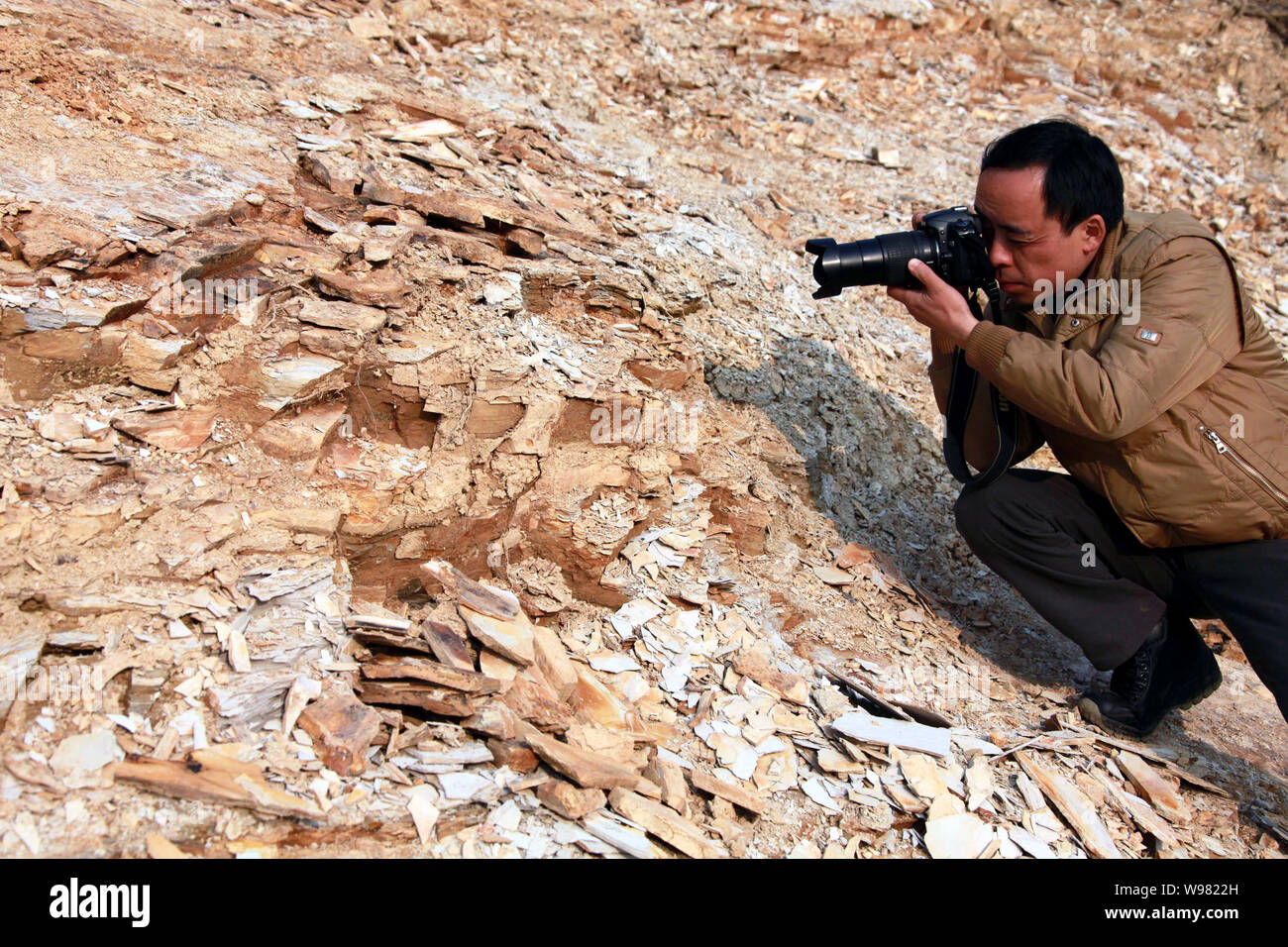 Un paleontólogo chino toma fotos de algunas plantas fósiles en Xiuning condado, Huangshan city, East chinas en la provincia de Anhui, 18 de febrero de 2011. Paleon Foto de stock