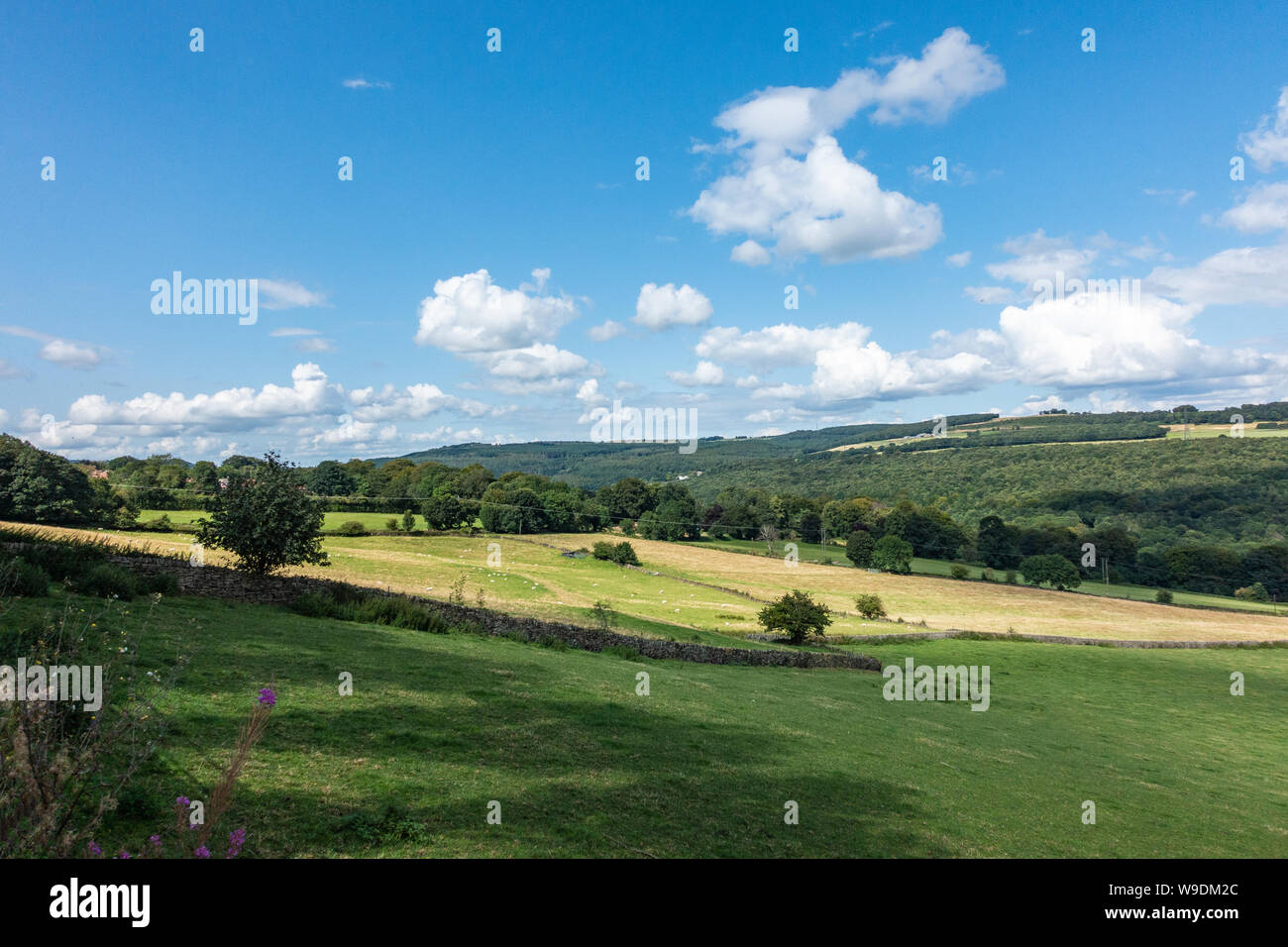 Día soleado vistas panorámicas de Sheffield rural mirando hacia el borde y Grenoside Birley en el sur de Yorkshire, Inglaterra. Foto de stock