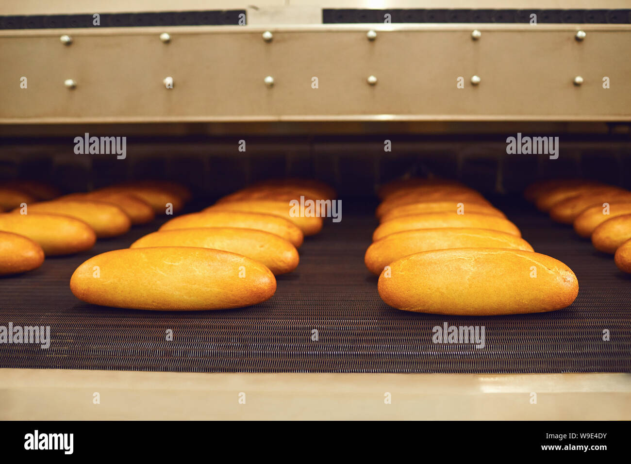 Materias pan en bandejas antes de cocer en el horno a la panadería de  fábrica Fotografía de stock - Alamy