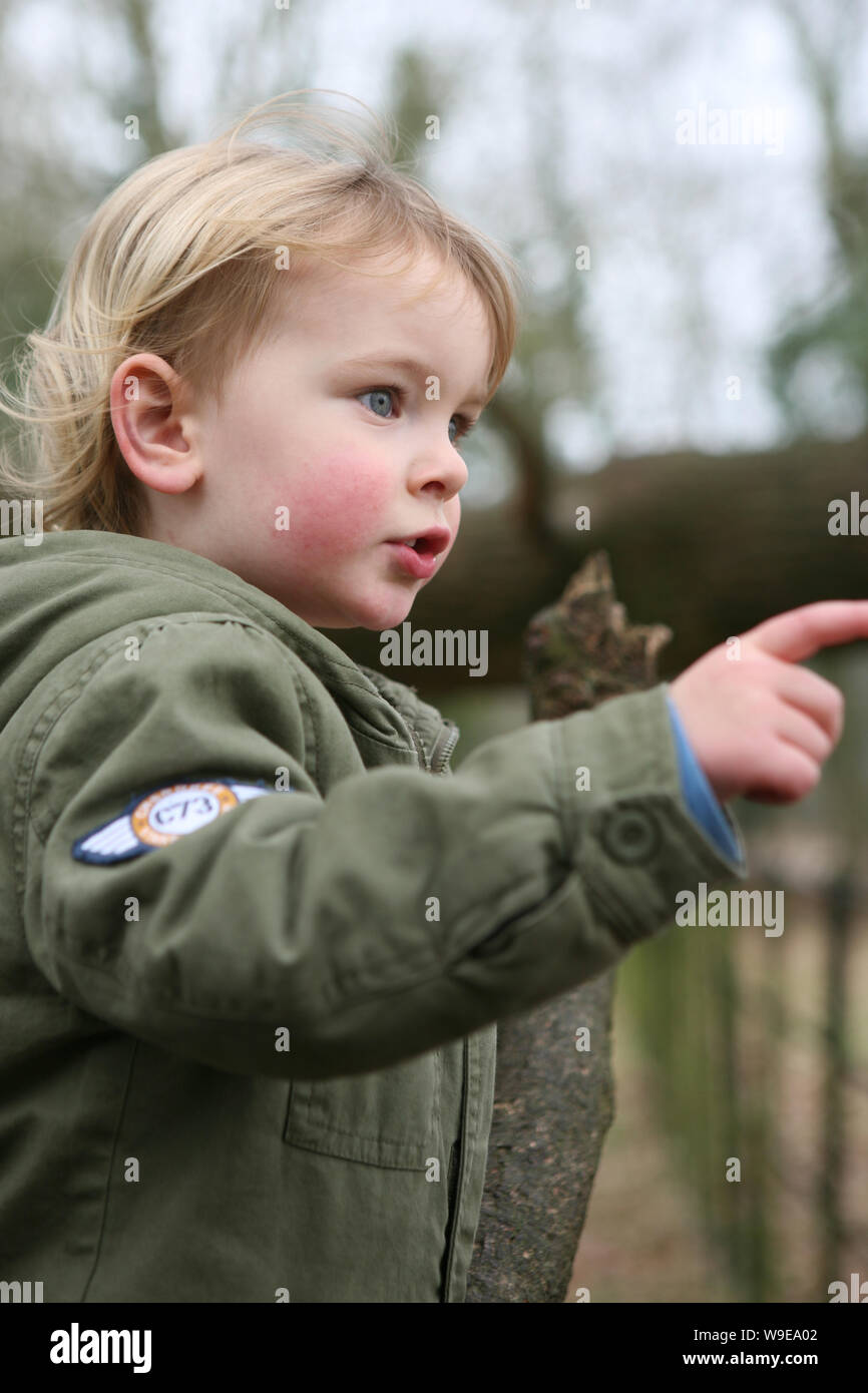 Dos-año-viejo muchacho interesado en el mundo : Mottisfont, Hampshire, Reino Unido. Modelo liberado Foto de stock