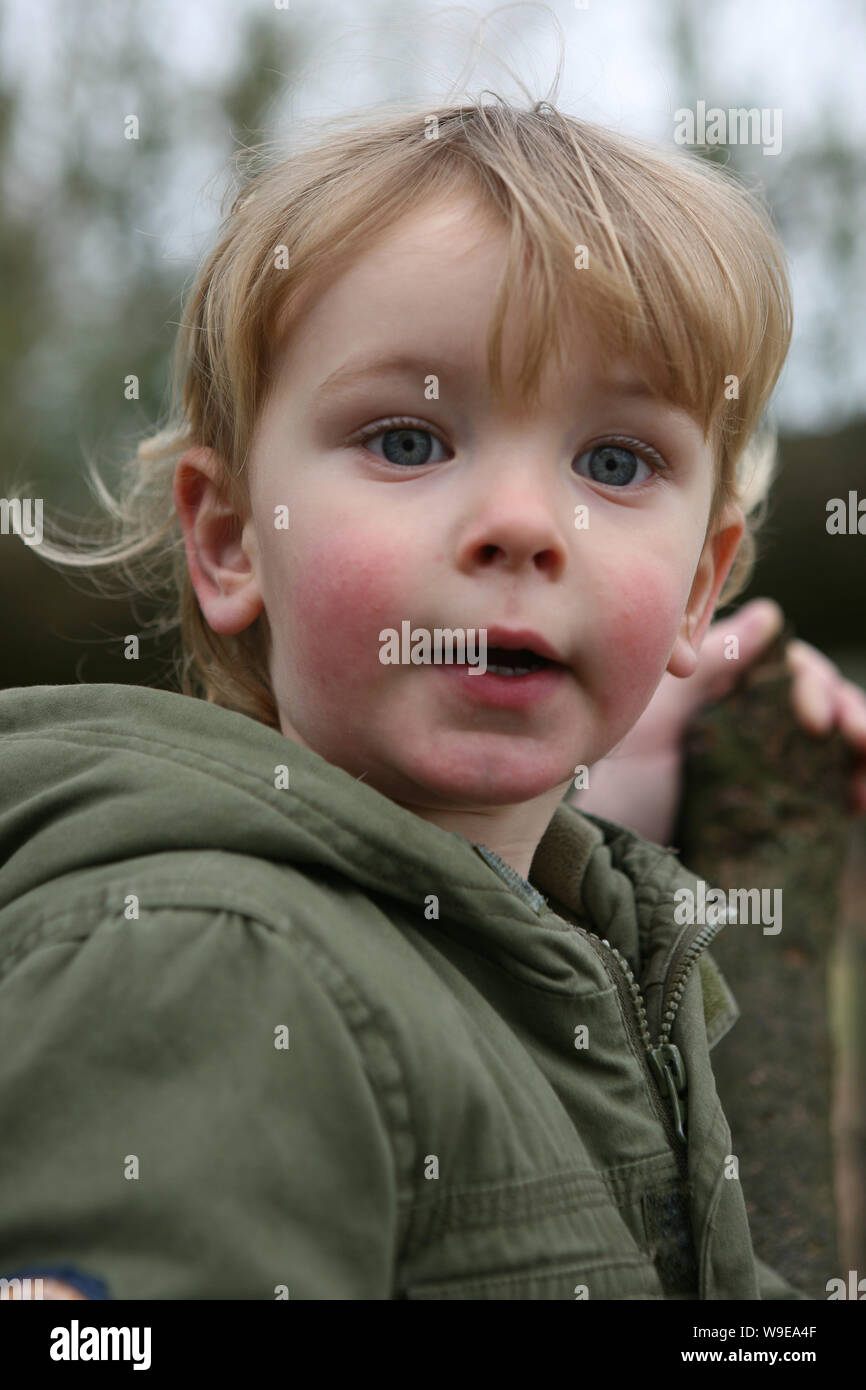 Dos-año-viejo muchacho mira el fotografo : Mottisfont, Hampshire, Reino Unido. Modelo liberado Foto de stock