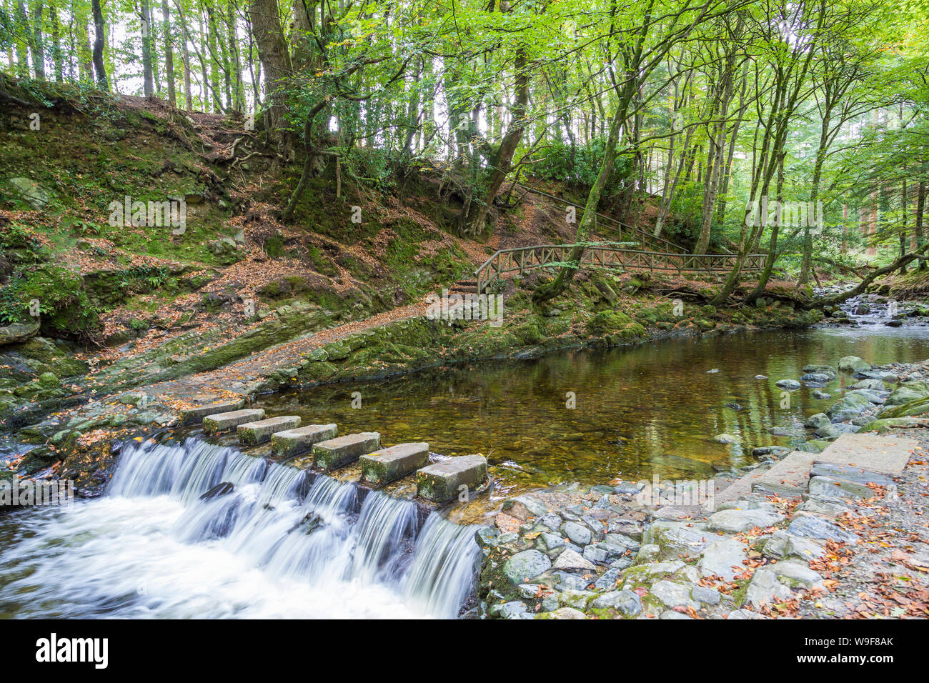 En el Stepping Stones Tollymore Park Foto de stock
