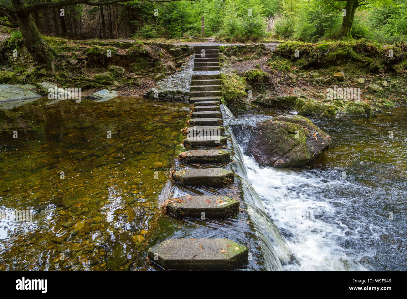 En el Stepping Stones Tollymore Park Foto de stock