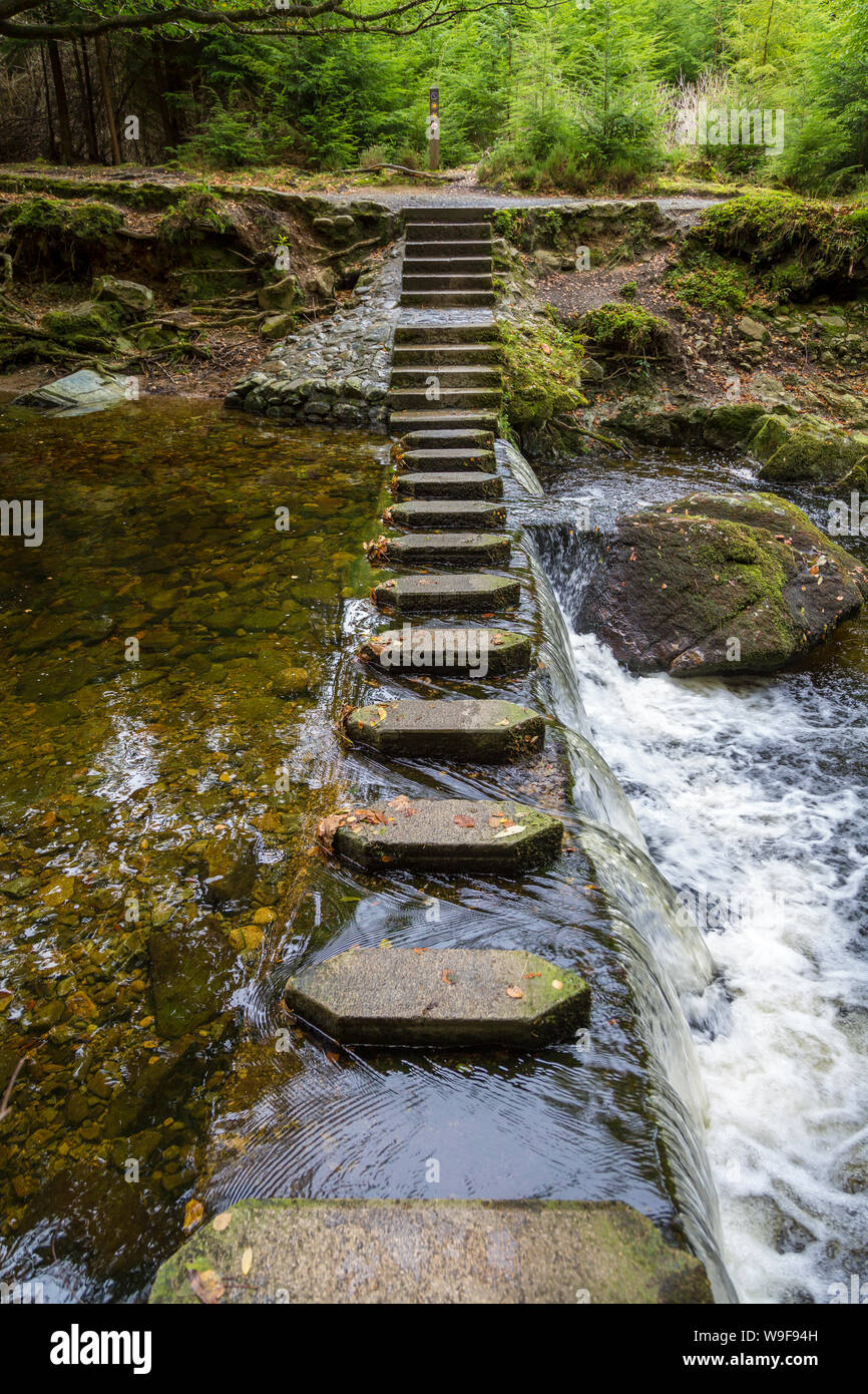 En el Stepping Stones Tollymore Park Foto de stock