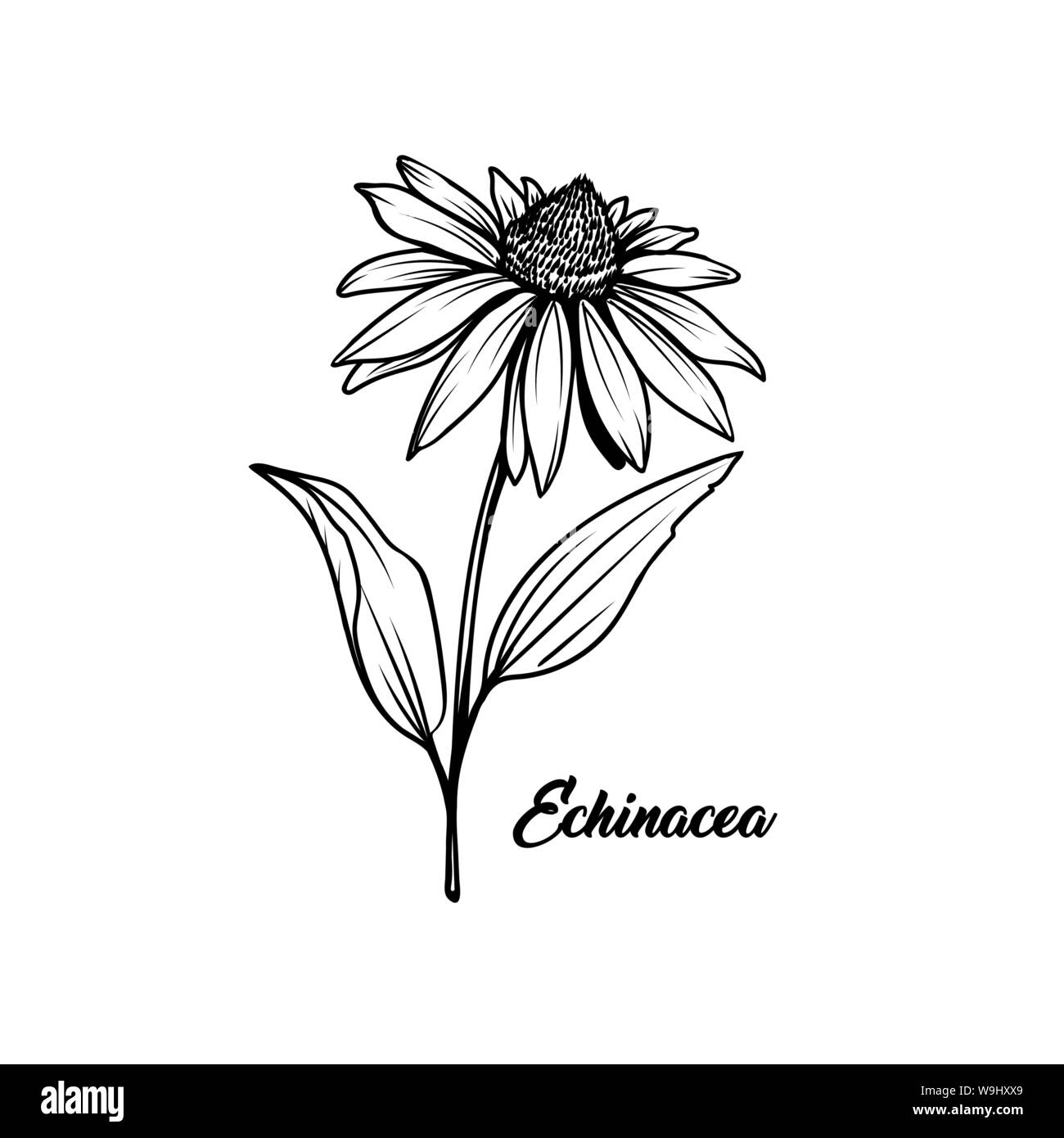 Cónica blanca Imágenes vectoriales de stock - Alamy