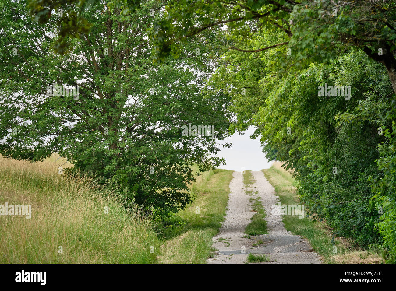 Un largo camino de ripio brillante con una disminución de la perspectiva en un hermoso y verde paisaje de verano en el campo Foto de stock